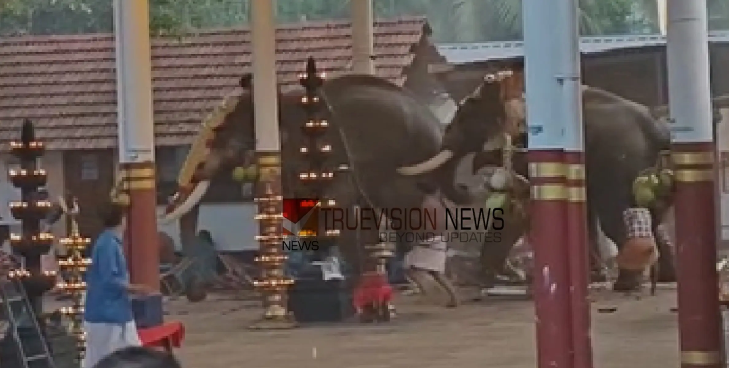 കൊയിലാണ്ടിയിൽ ആന ഇടഞ്ഞ സംഭവം; പടക്കം പൊട്ടുന്ന ശബ്ദം കേട്ട് ഇടഞ്ഞെന്ന് റിപ്പോട്ട്, മരിച്ചവരുടെ പോസ്റ്റ്മോർട്ടം ഇന്ന്