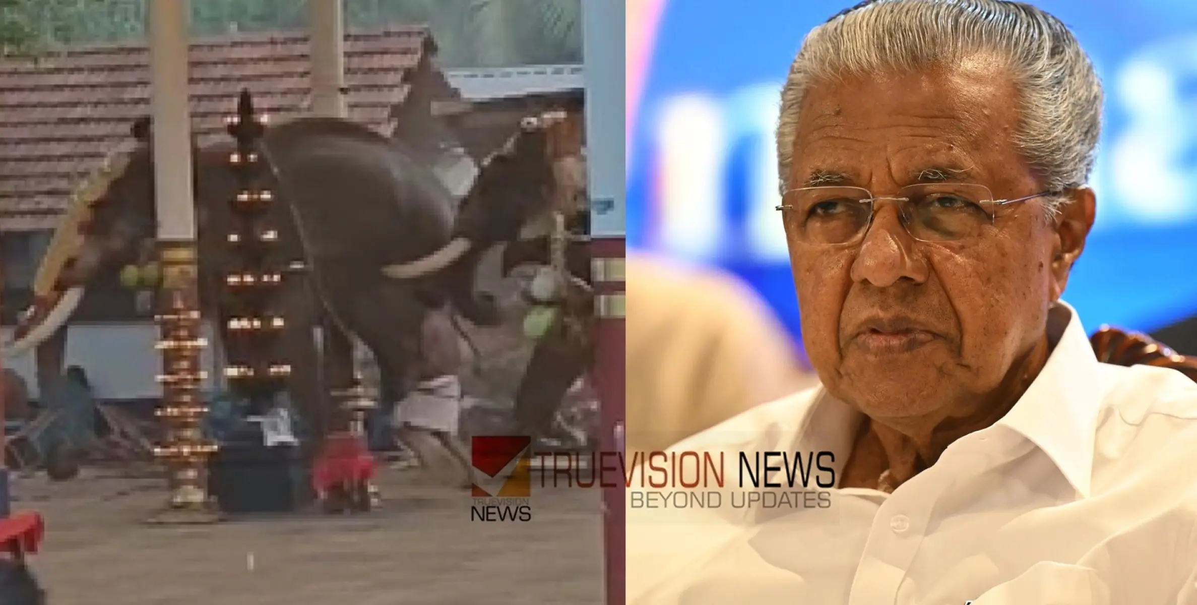 കോഴിക്കോട് കൊയിലാണ്ടിയിൽ ആനകളിടഞ്ഞുണ്ടായ അപകടം; അനുശോചനമറിയിച്ച് മുഖ്യമന്ത്രി 