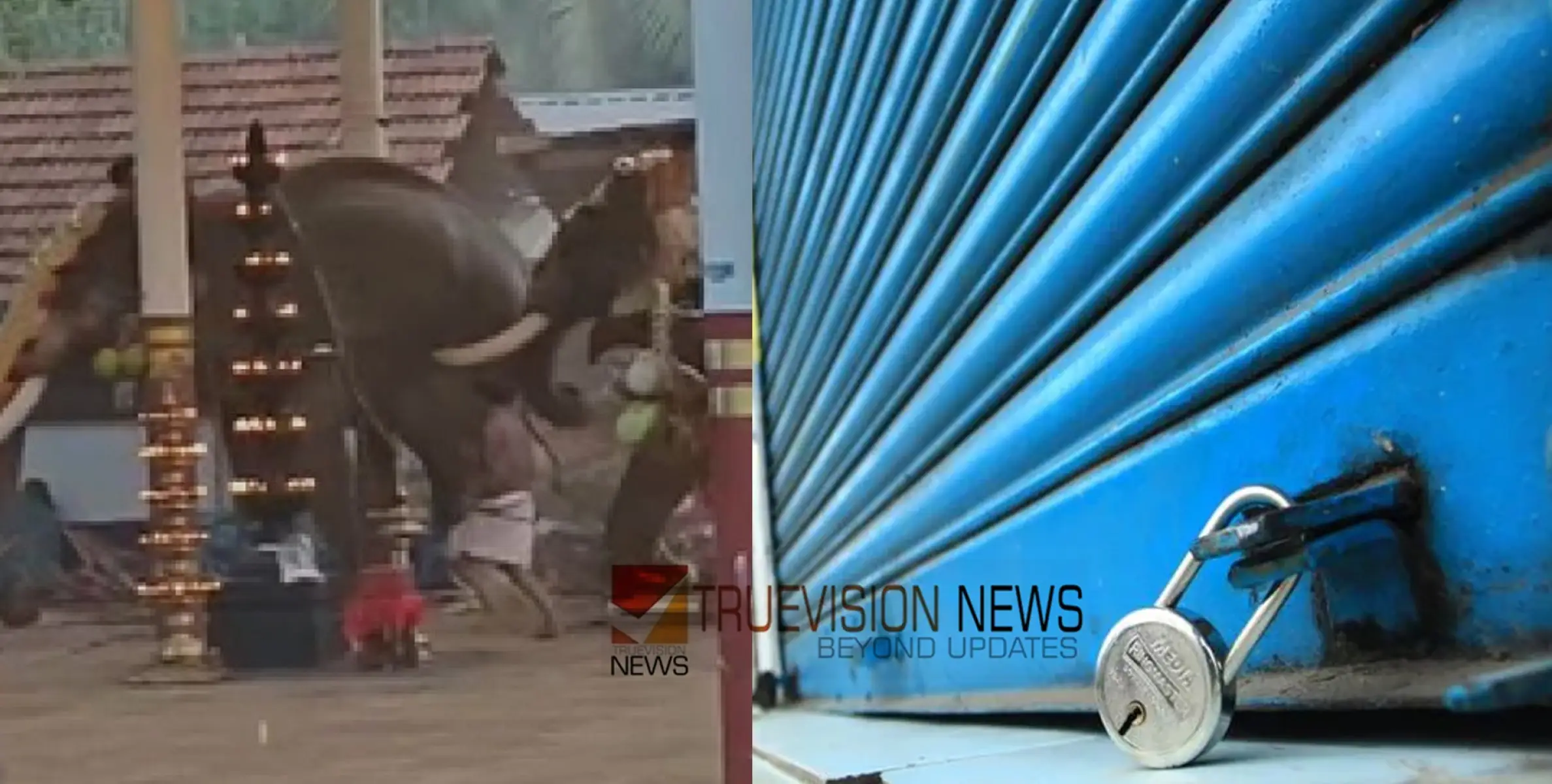 കൊയിലാണ്ടിയിൽ  ആനയിടഞ്ഞുണ്ടായ അപകടം; കൊയിലാണ്ടി നഗരസഭയിലെ 9 വാര്‍ഡുകളില്‍ ഇന്ന് ഹര്‍ത്താല്‍  