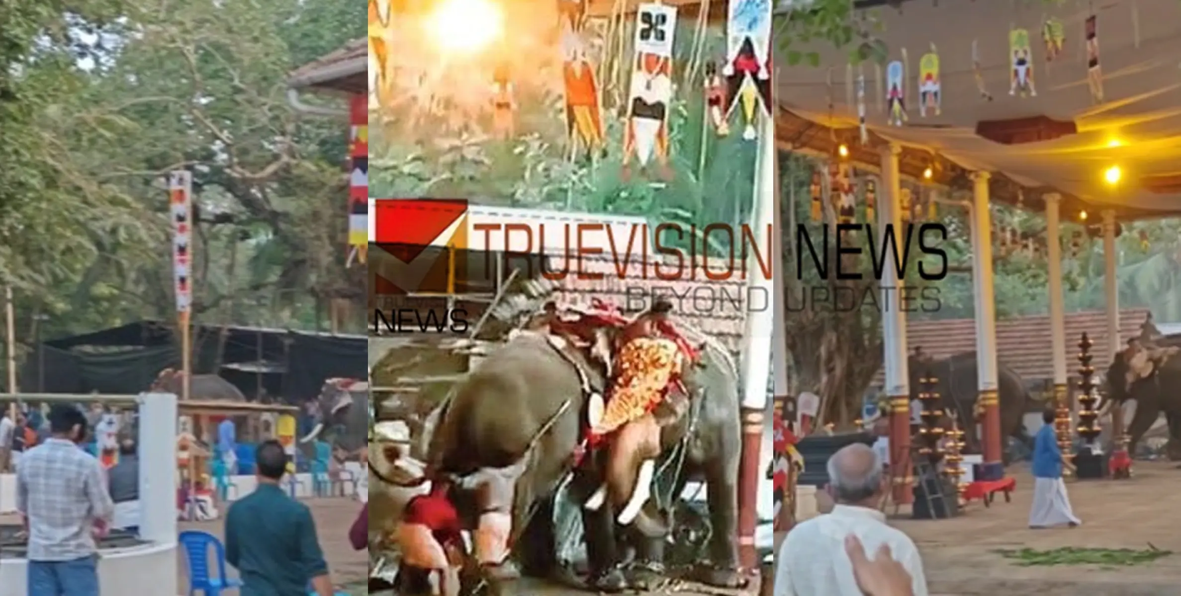 കൊയിലാണ്ടിയിൽ ആനയിടഞ്ഞുണ്ടായ അപകടം; മരിച്ചവരുടെ പോസ്റ്റ്മോർട്ടം റിപ്പോർട്ട് പുറത്ത്