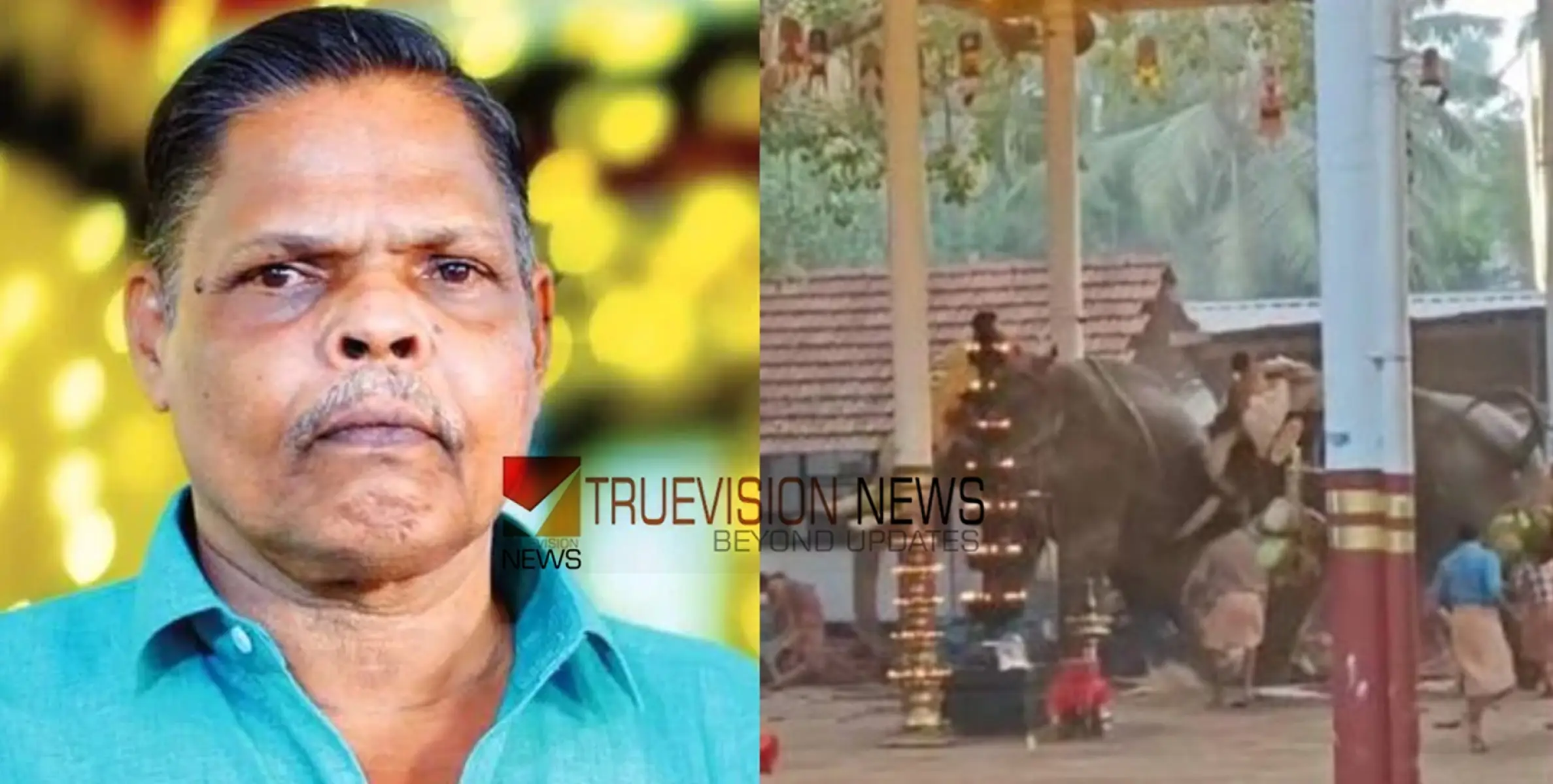 'കസേരയിലിരുന്ന് ആനയുടെ ഫോട്ടോ എടുക്കുകയായിരുന്നു, ഓടാനായില്ല'; അപകടത്തിൽ മരിച്ച രാജന്റെ സഹോദൻ