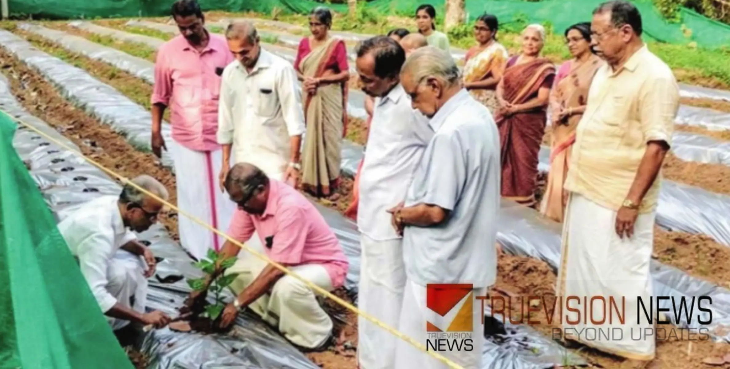 നടീൽ ഉത്സവം;എടച്ചേരിയിൽ സംയോജിത കൃഷി ഏരിയാതല ഉദ്ഘാടനം നടന്നു 