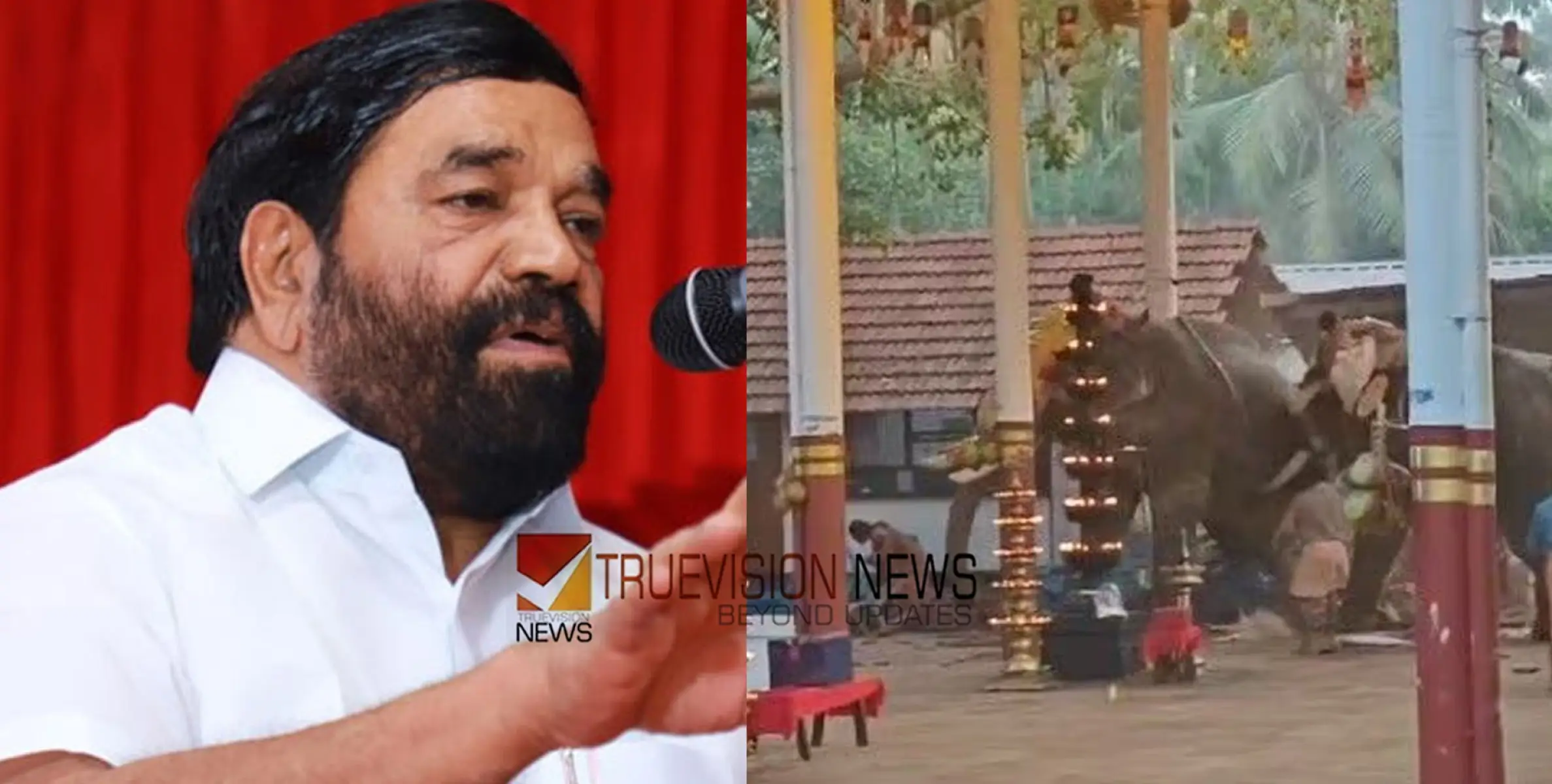 ആനയിടഞ്ഞ്  മരണപ്പെട്ടവരുടെ കുടുംബത്തിന് അഞ്ച് ലക്ഷം വീതം കൈമാറി; ഗുരുതരമായി പരിക്കേറ്റവർക്കും സഹായം നൽകും -മന്ത്രി വി എൻ വാസവൻ