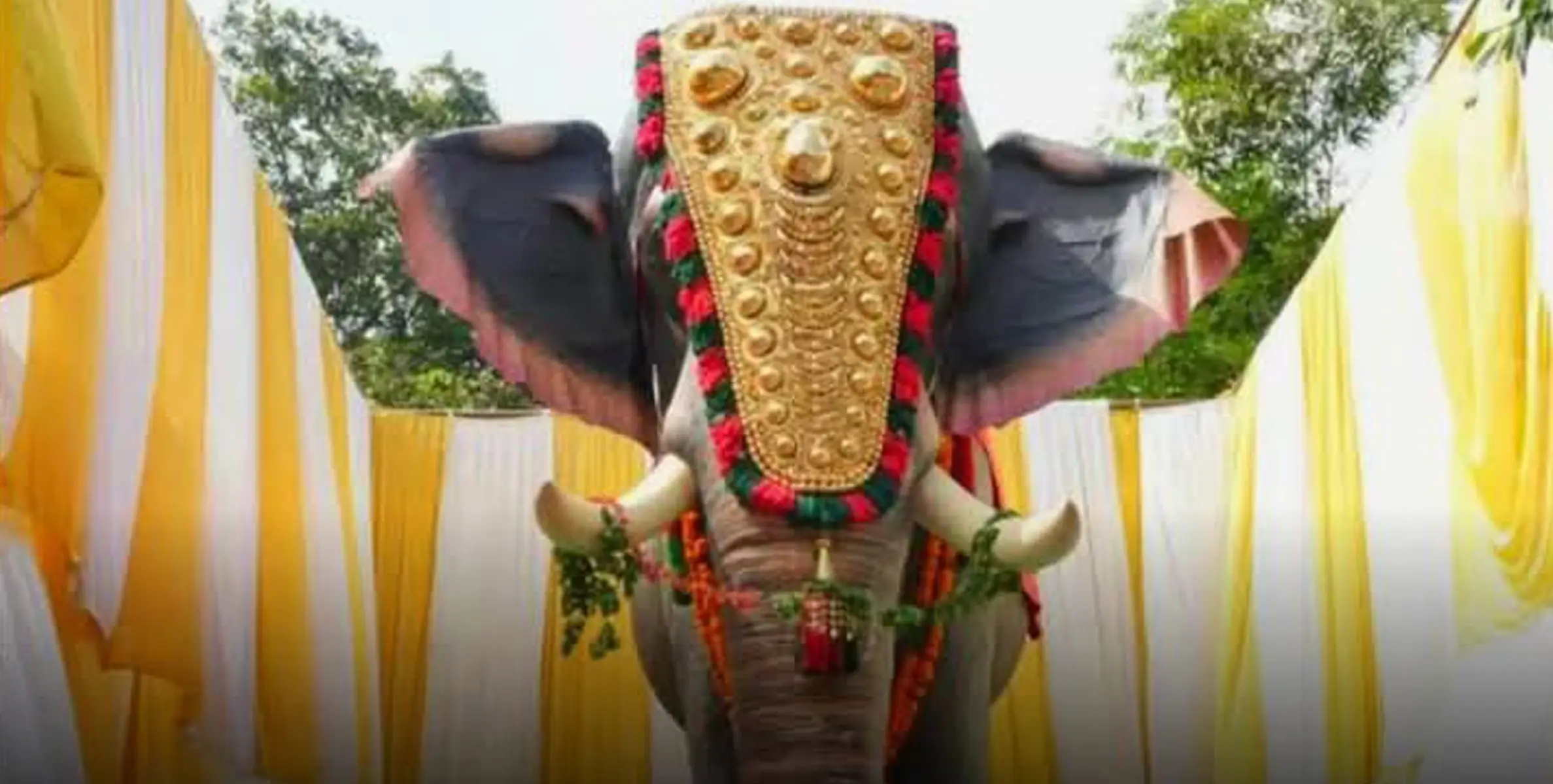 റോബോട്ടിക്ക് ആനയിൽ നിന്ന് ഷോക്കേറ്റ് ആനയുടെ ഉടമസ്ഥനുൾപ്പെടെ 4 പേർ മരിച്ചു