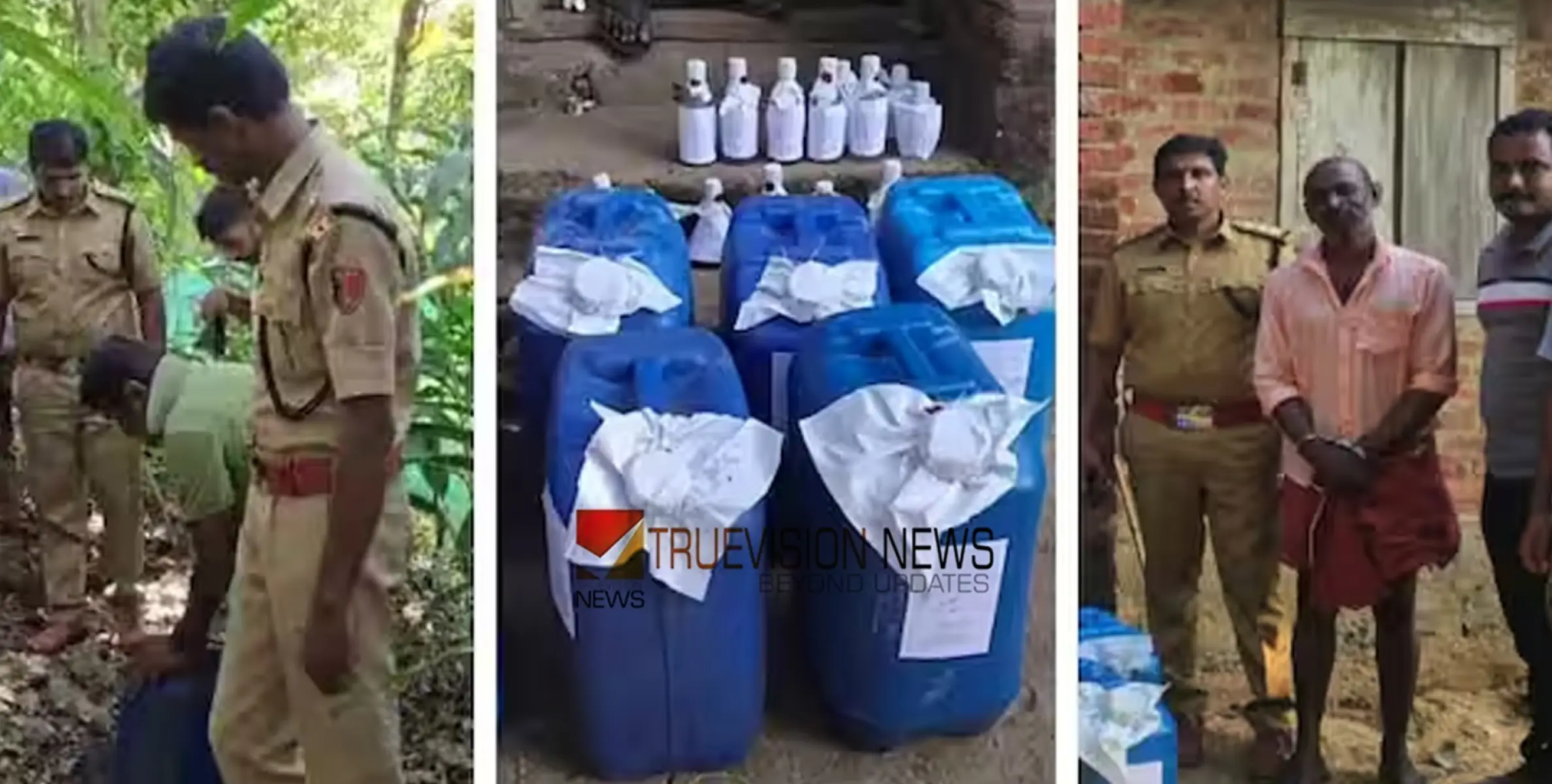 വൻ വാറ്റുചാരായ വേട്ട; കിടപ്പുമുറിയിൽ 35 ലിറ്റർ, പറമ്പിൽ കുഴിച്ചിട്ടത് 6 കന്നാസുകൾ, മൊത്തം 245 ലിറ്റർ