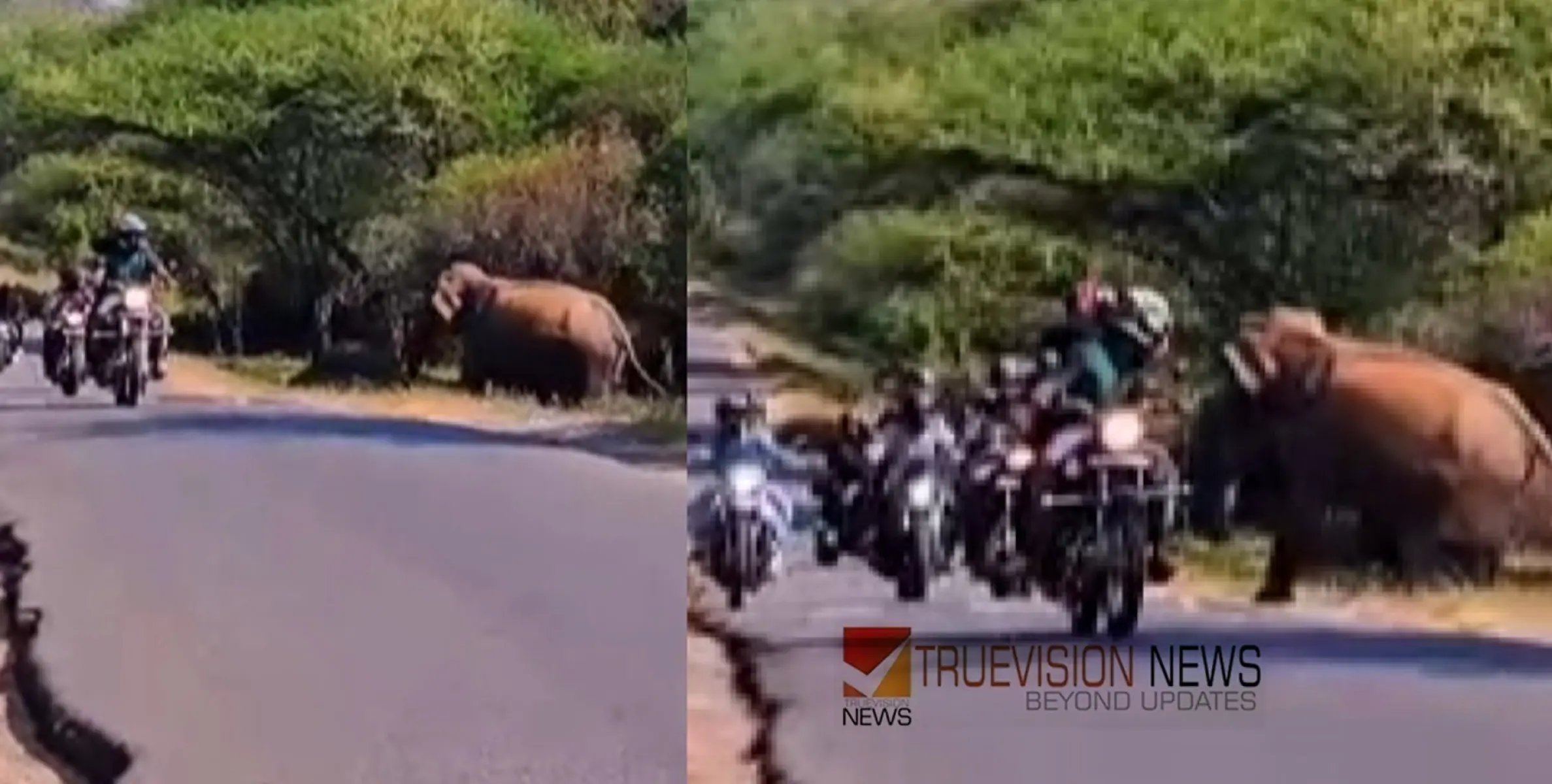 ബൈക്ക് യാത്രക്കാർക്കിടയിലേക്ക് പാഞ്ഞു കയറി കാട്ടാന ; യുവാക്കൾ രക്ഷപെട്ടത് തലനാരിഴയ്ക്ക്