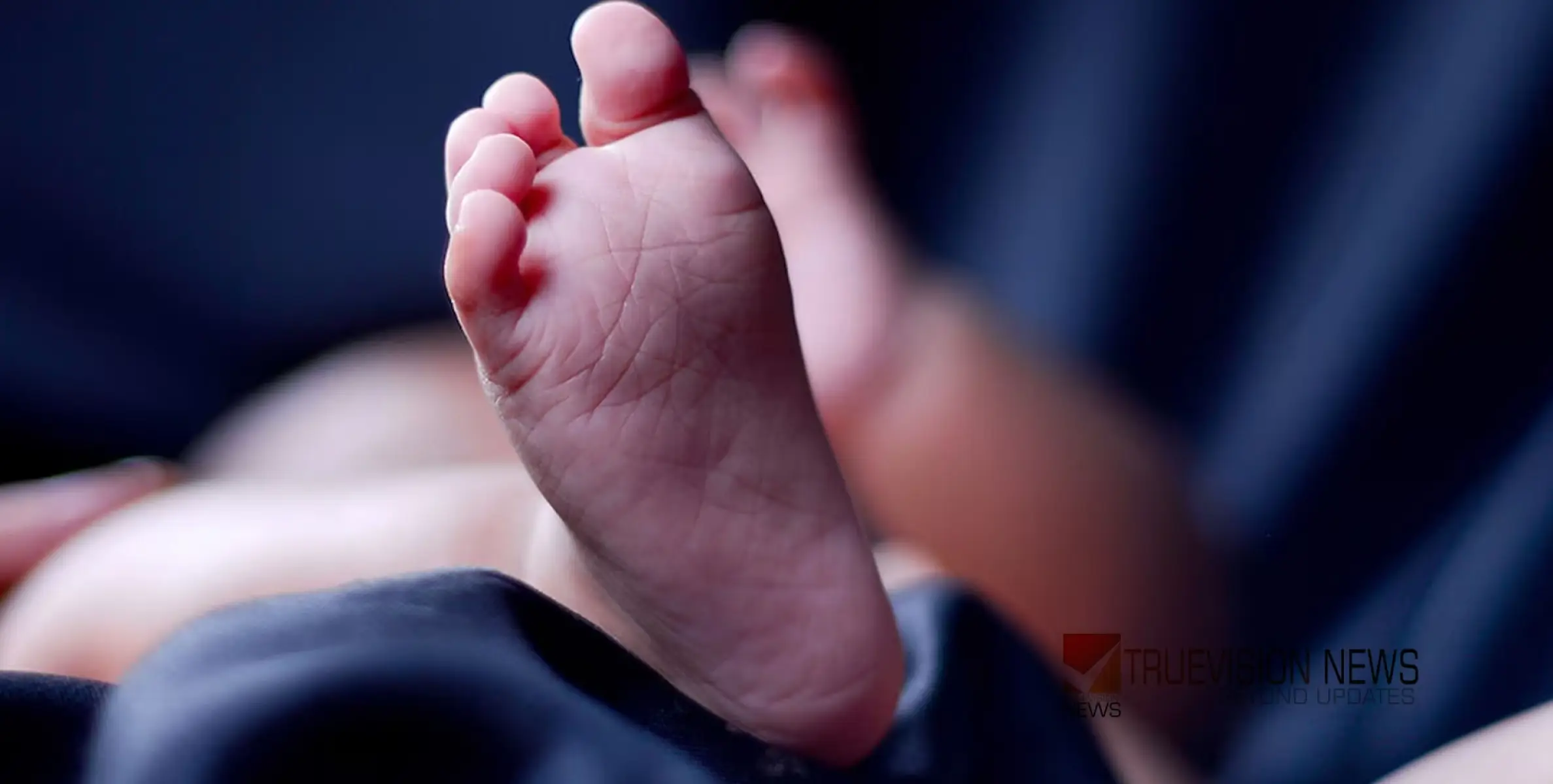 ഹരിത കർമ്മ സേന വാഹനത്തില്‍ മാലിന്യം കയറ്റുന്നതിനിടെ അപകടം; ചികിത്സയിലിരിക്കെ പ്രസവിച്ച യുവതിയുടെ കുഞ്ഞ് മരിച്ചു