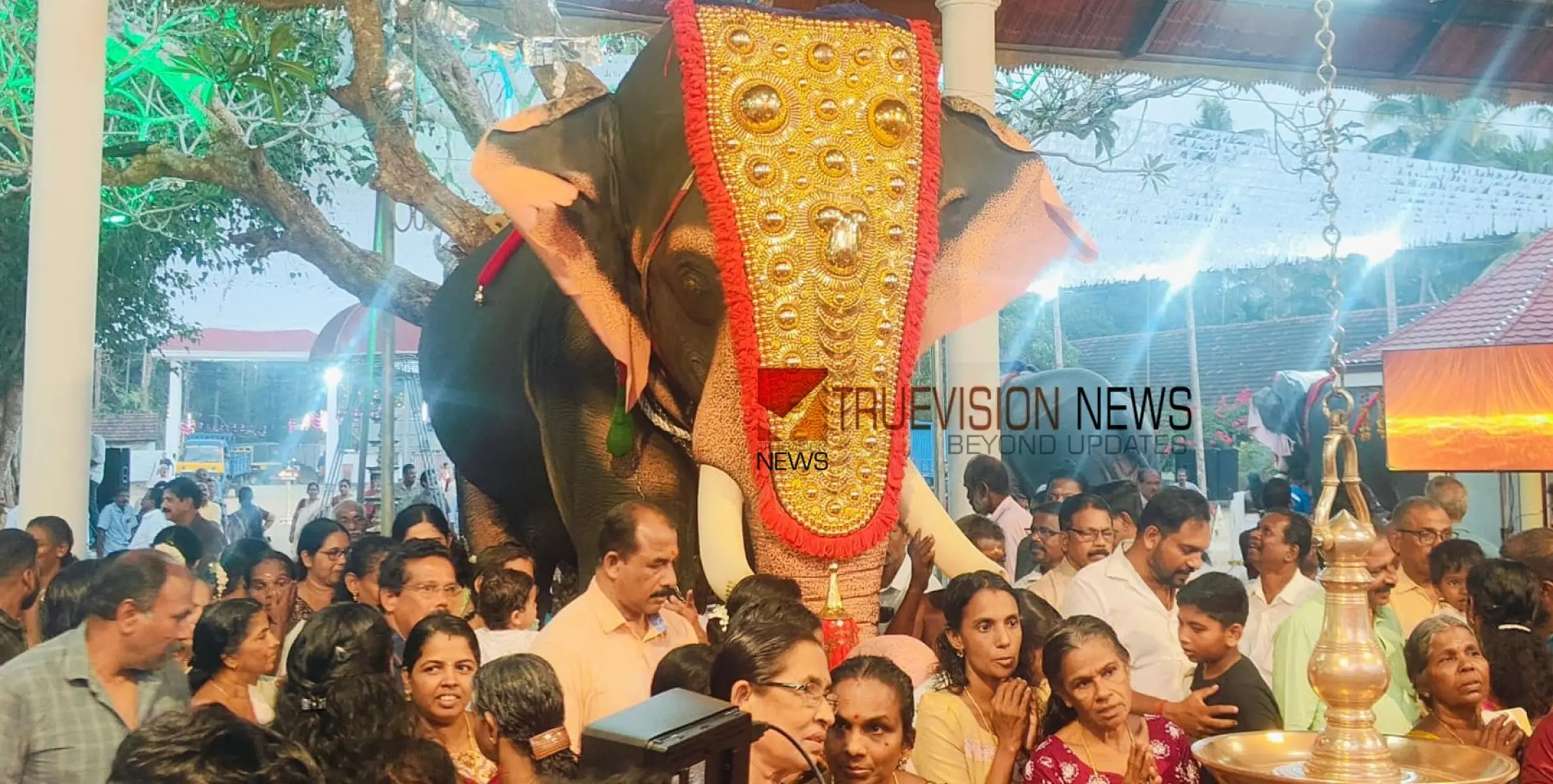 ഈ ആന ഇടയില്ല! ആന ഇടയുന്ന ദാരുണസംഭവങ്ങൾ ഒഴിവാക്കാൻ ശിവശക്തി, റോബോട്ടിക് ആനയെ പുറത്തിറക്കി വിഎഫ്എഇ