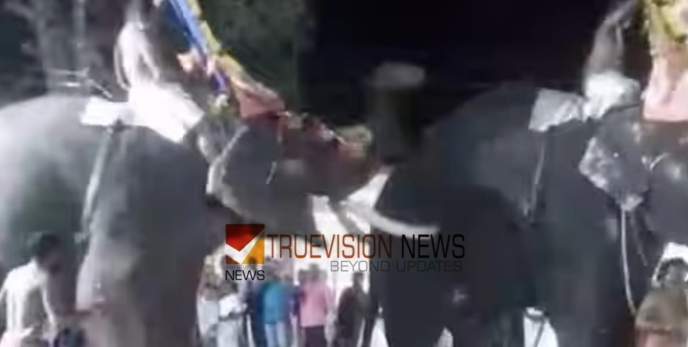 തിരുവല്ല ശ്രീവല്ലഭ ക്ഷേത്രത്തിൽ ഉത്സവത്തിനിടെ ആന ഇടഞ്ഞു; കീഴ്ശാന്തിമാർ ഉൾപ്പെടെ ഏഴു പേർക്ക് പരിക്ക് 
