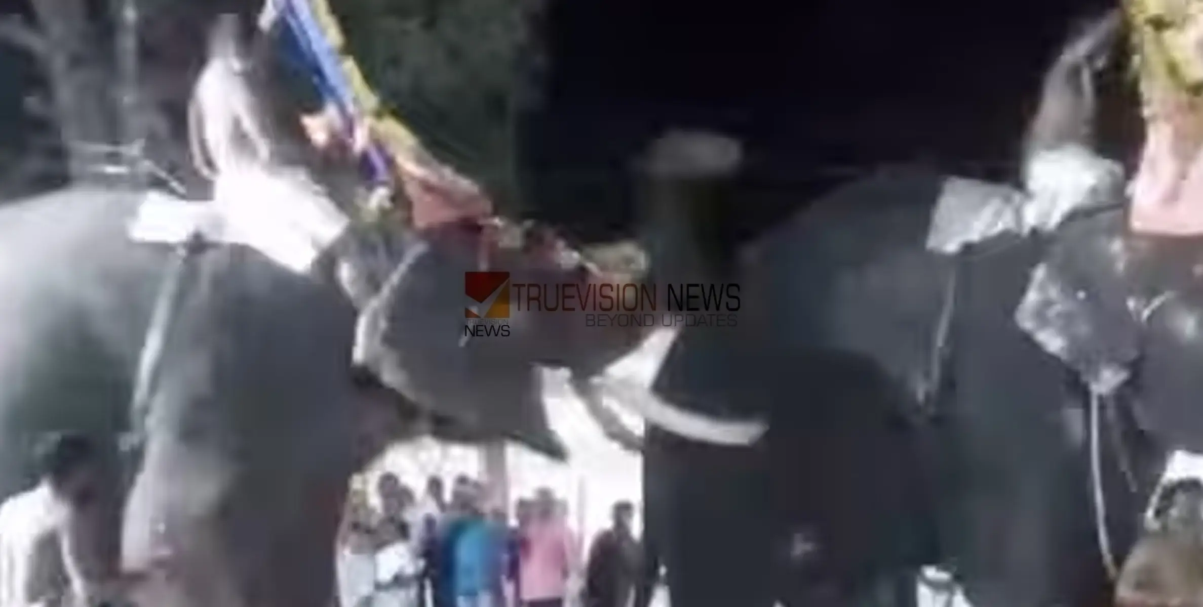 ഉത്സവത്തിനിടെ ആന ഇടഞ്ഞ സംഭവം;   നാലുപേർക്കെതിരെ കേസെടുത്ത് വനം വകുപ്പ്