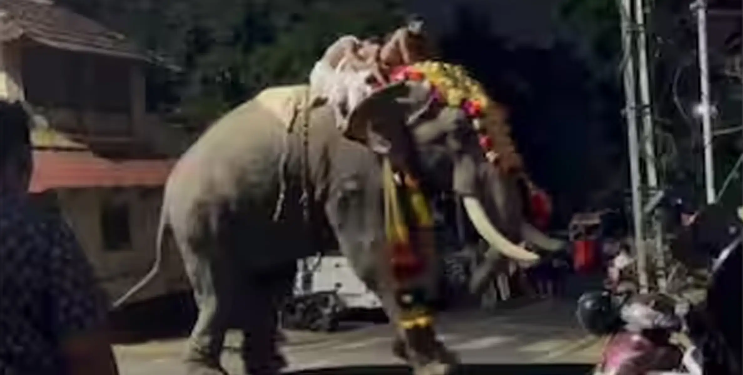 അമ്പലത്തിലെ ഉത്സവത്തിനിടെ ആനയിടഞ്ഞു.
