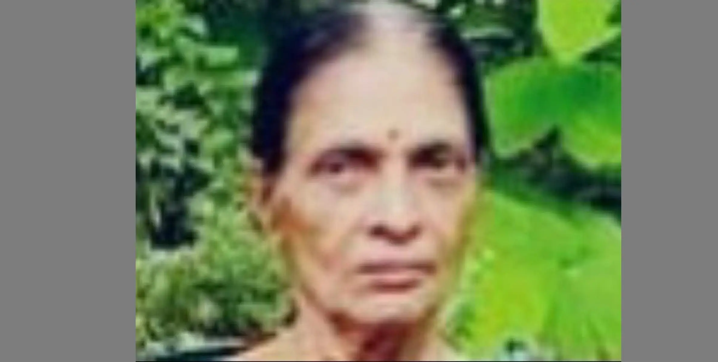 ബാലുശ്ശേരി കോക്കല്ലൂര്‍ പറക്കുമീത്തല്‍ മീനാക്ഷി അന്തരിച്ചു