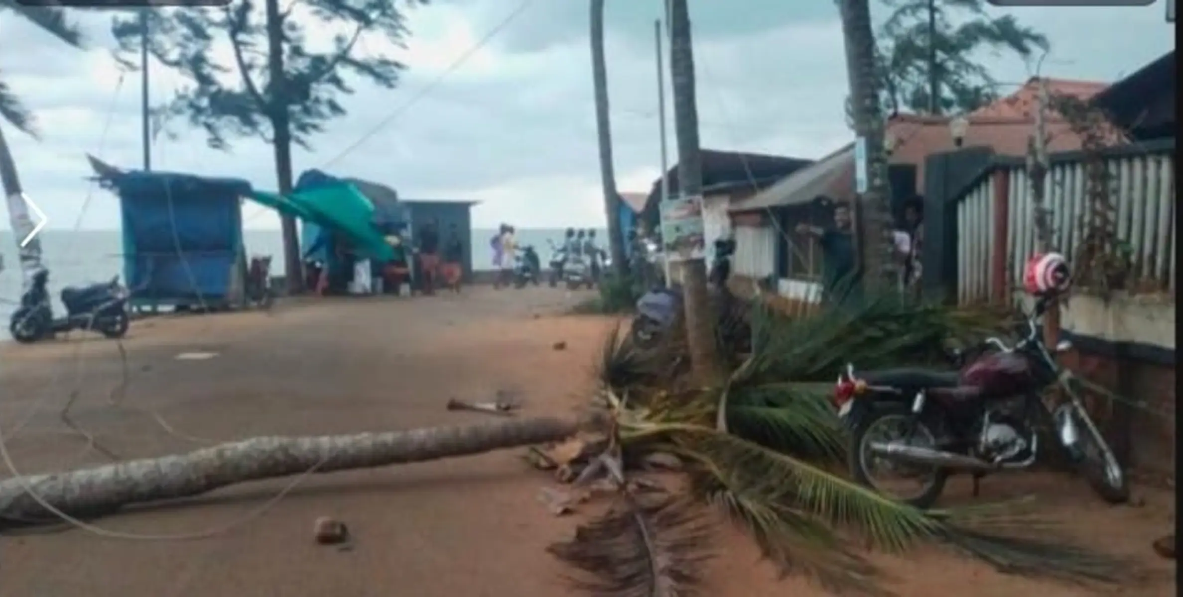 കൊയിലാണ്ടിയില്‍ കനത്ത മഴയും കാറ്റും; റോഡ് നിറയെ ചെളിയും വെള്ളക്കെട്ടും യാത്രക്കാര്‍ ജാഗ്രത പുലര്‍ത്തണം
