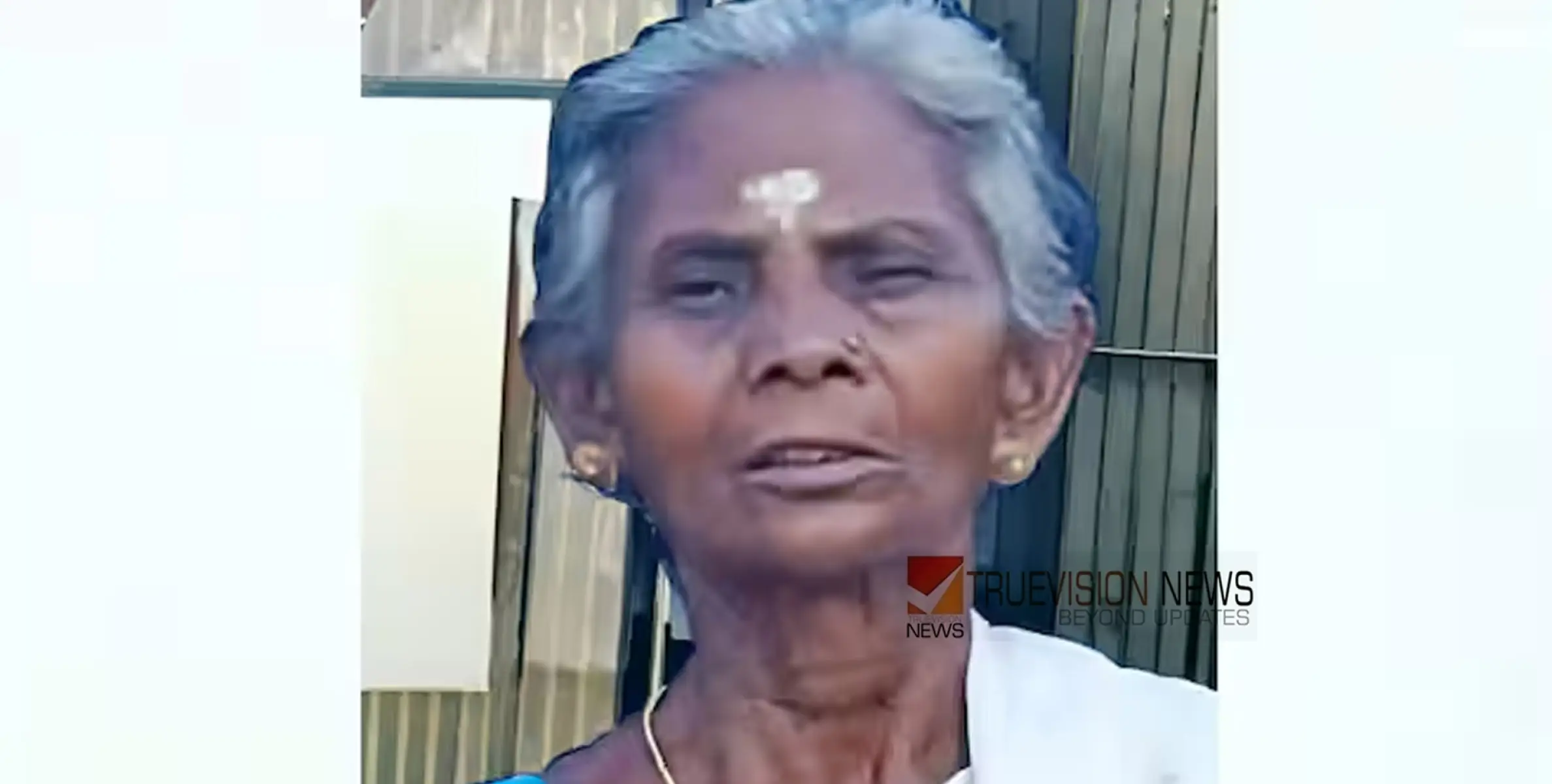 ജോലി കഴിഞ്ഞ് വരുമ്പോൾ വൈദ്യുതി തൂണിനോട് ചേർന്ന സ്റ്റേ കമ്പിയിൽ പിടിച്ചു; വയോധിക ഷോക്കേറ്റ് മരിച്ചു
