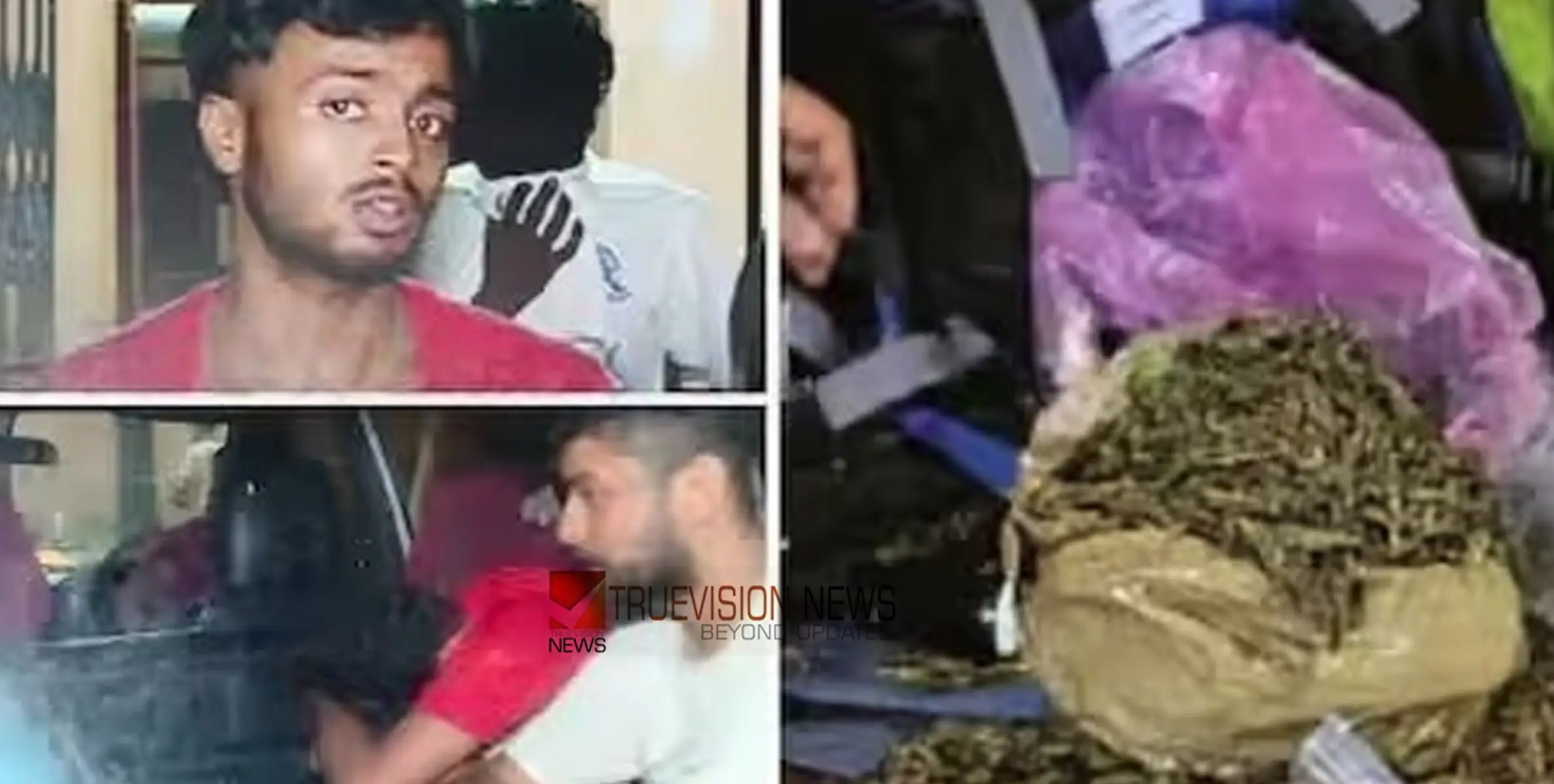 ഹോസ്റ്റലിൽ കഞ്ചാവ് അളന്ന് തൂക്കി ചെറിയ പായ്ക്കറ്റുകളിലേക്ക് മാറ്റുന്ന വിദ്യാർത്ഥികൾ, ത്രാസടക്കം പിടിച്ചെടുത്തു