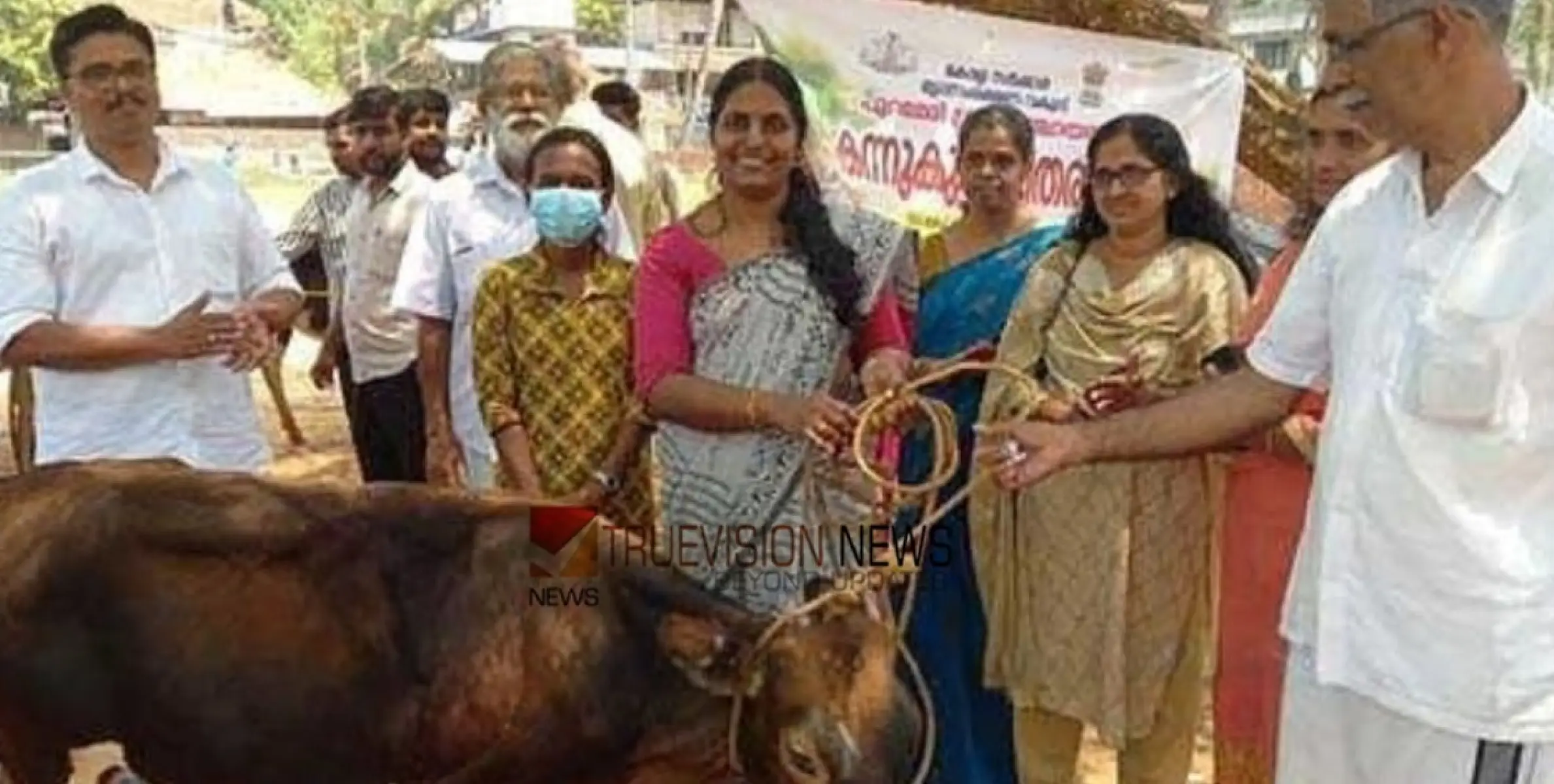  ജനകീയാസൂത്രണം പദ്ധതി; പുറമേരിയിൽ കന്നു കുട്ടി വിതരണം നടത്തി 