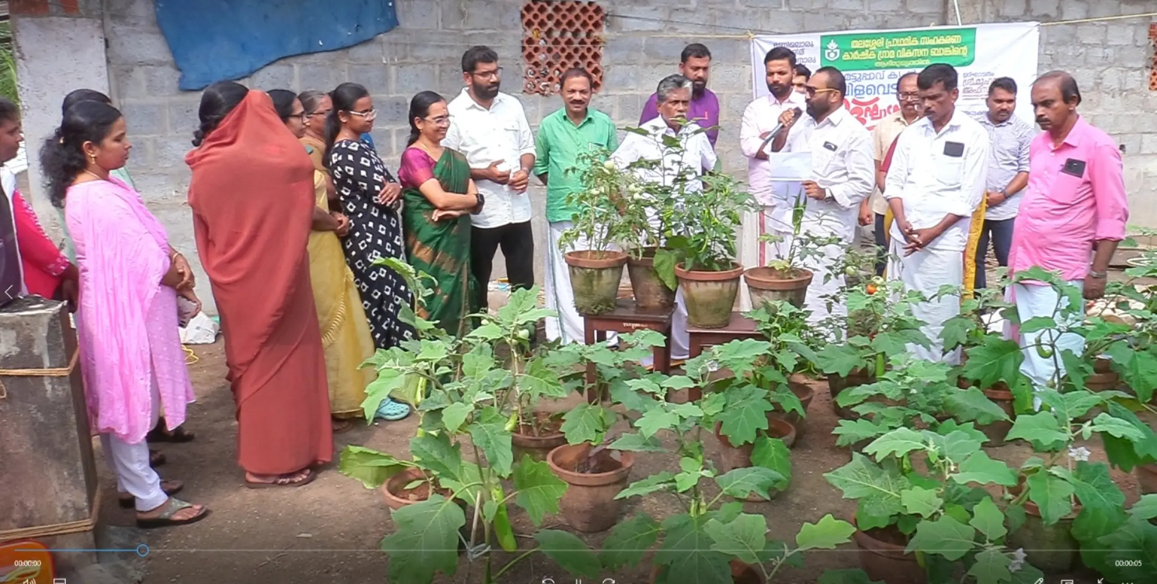 മട്ടുപ്പാവ് കൃഷിയില്‍ മൂന്നാം തവണയും പൊന്നുവിളയിച്ച് തലശ്ശേരി പ്രാഥമിക സഹകരണ കാര്‍ഷിക ഗ്രാമ വികസന ബാങ്ക്