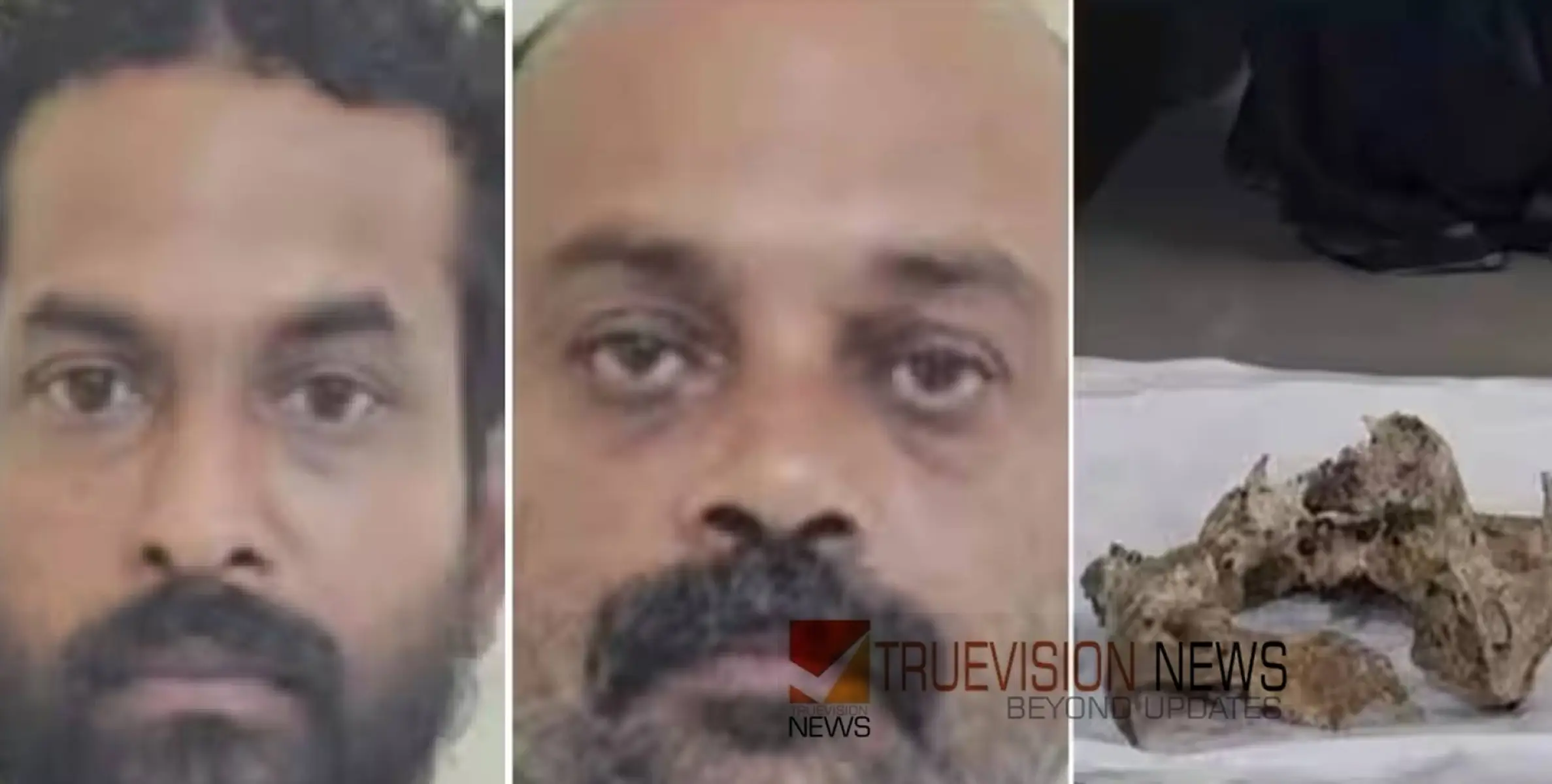 കടുവയെ വെടിവെച്ചു കൊന്നു, ശേഷം നഖവും മാംസവും ശേഖരിച്ച് ഒളിവിൽ പോയി, രണ്ട് മാസങ്ങൾക്ക് ശേഷം പ്രതികൾ കീഴടങ്ങി