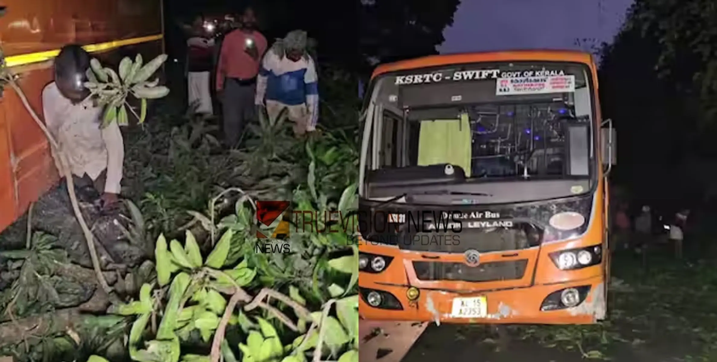 കോഴിക്കോട് താമരശ്ശേരിയിൽ റോഡിൽ മാങ്ങ പെറുക്കുന്നവർക്കിടയിലേക്ക് കെഎസ്ആര്‍ടിസി ബസ് പാഞ്ഞുകയറി; മൂന്ന് പേർക്ക് പരിക്ക്, ഒരാളുടെ നില ഗുരുതരം