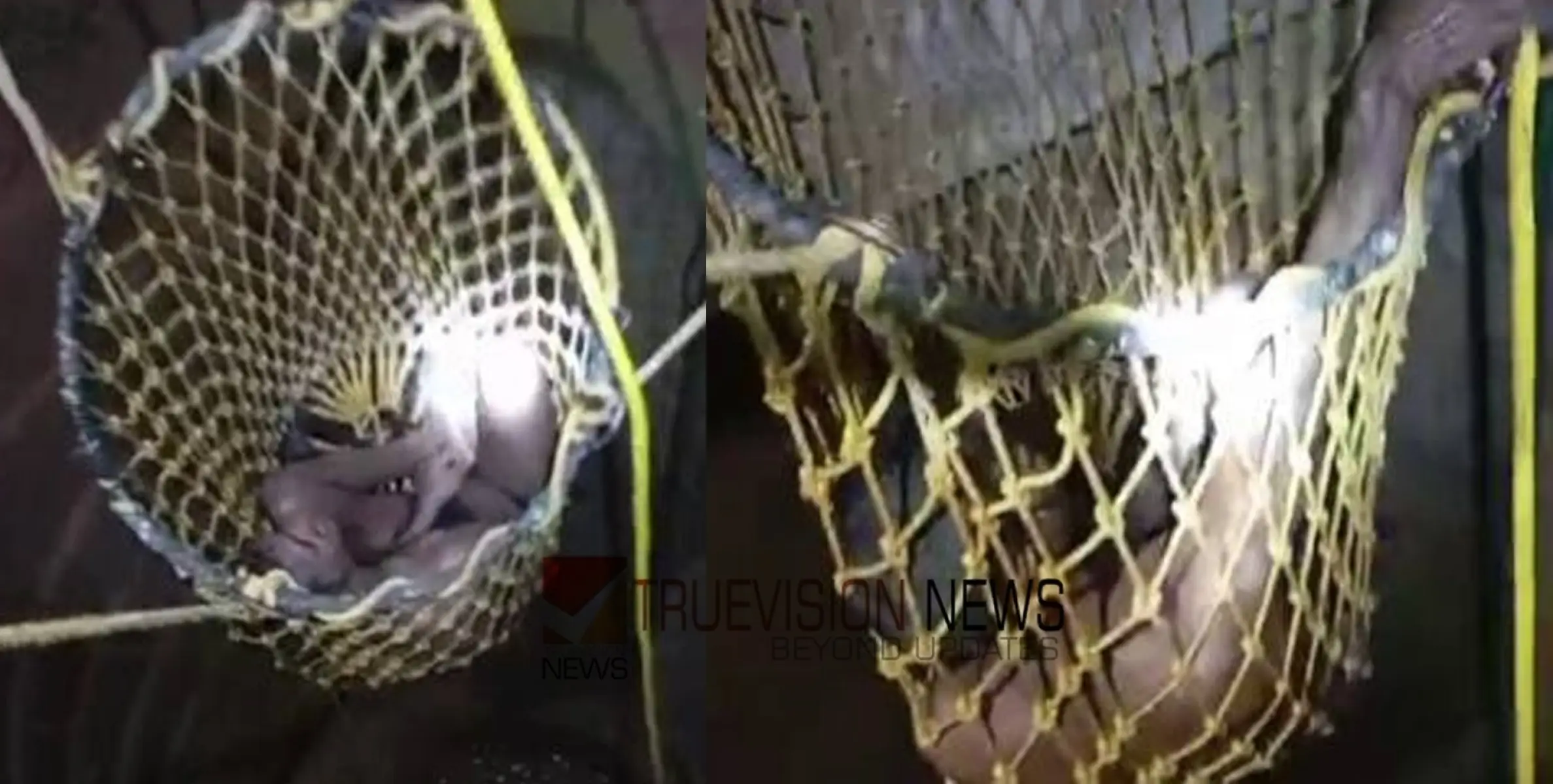 സുഹൃത്തുക്കളുമായി സംസാരിച്ചിരിക്കെ മധ്യവയസ്കൻ കിണറ്റിൽ വീണു; രക്ഷപ്പെടുത്തി അഗ്നി രക്ഷാസേന