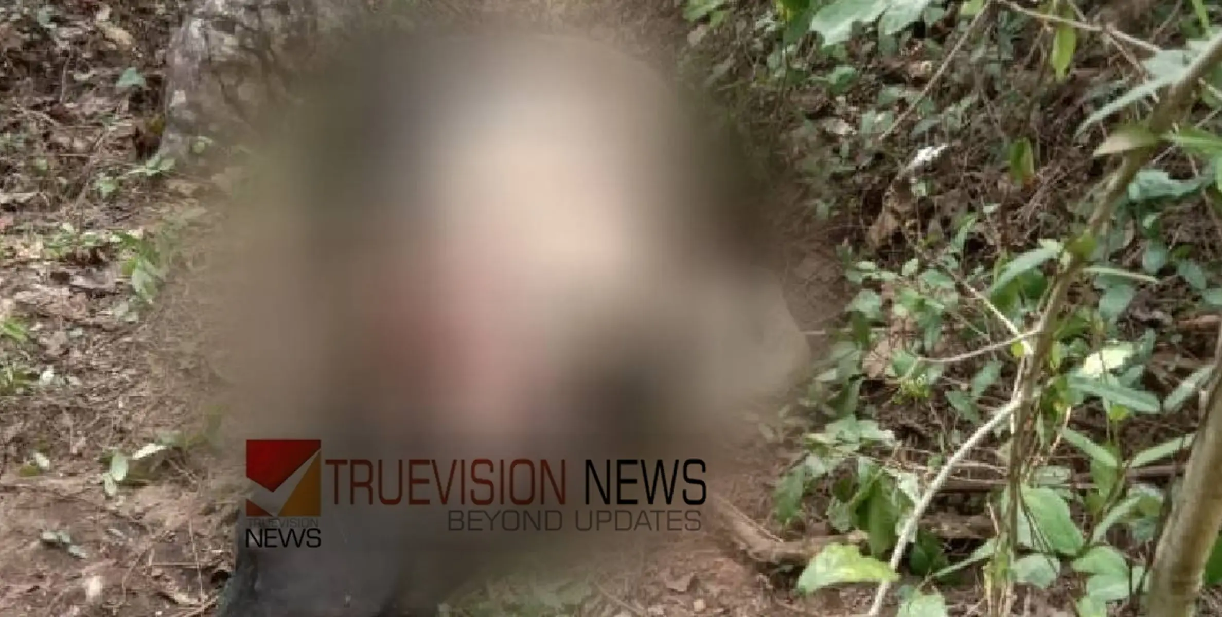 കൊടുംക്രൂരത....;  പശുവിനെ മോഷ്ടിച്ച് കയ്യും കാലും അറുത്തുമാറ്റി, ഇറച്ചിയാക്കി കടത്തി