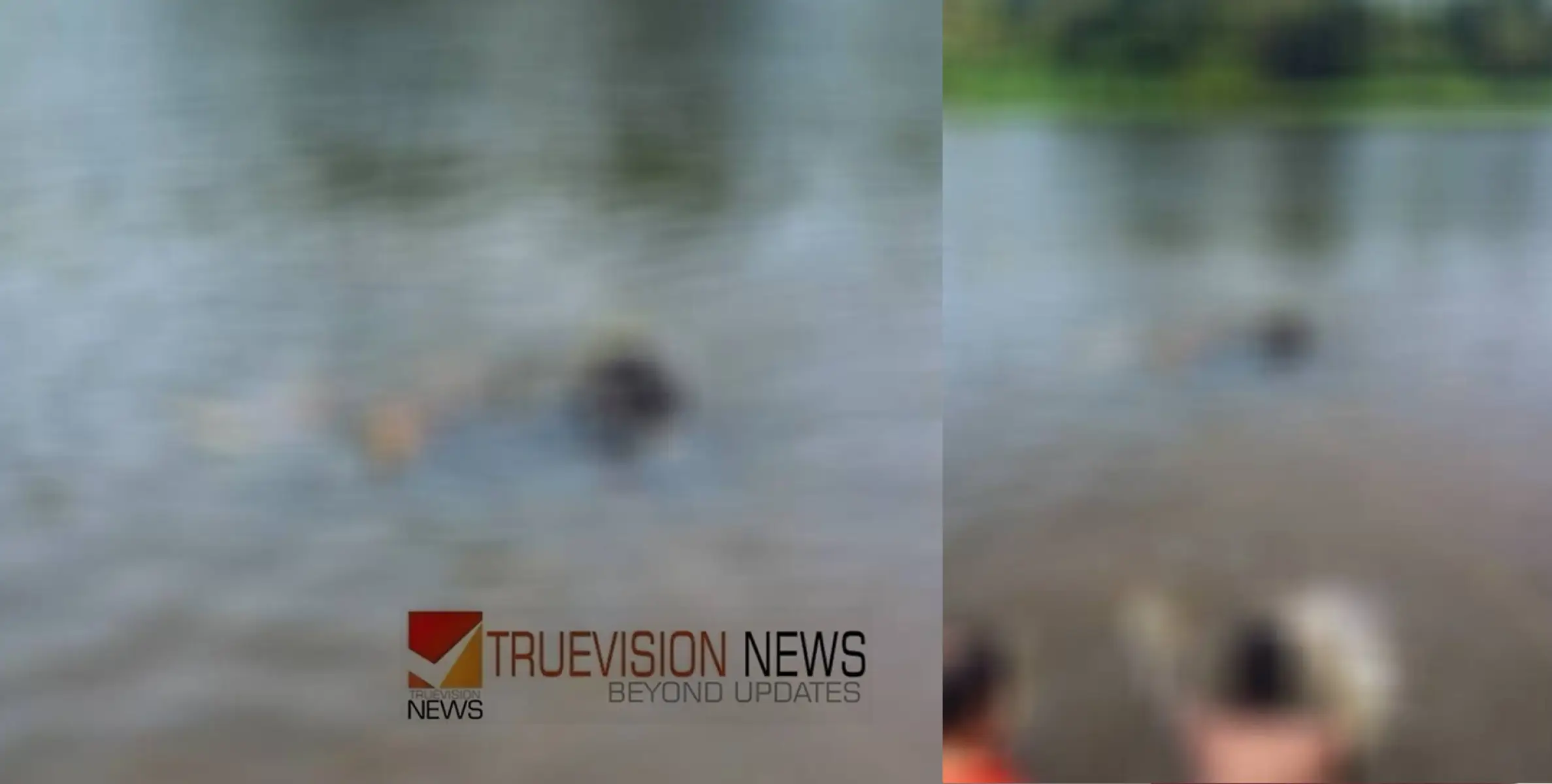 കൂട്ടുകാരുമായി കുളിക്കാനിറങ്ങി; മണിമലയാറ്റിൽ പ്ലസ് ടു വിദ്യാർത്ഥി മുങ്ങി മരിച്ചു