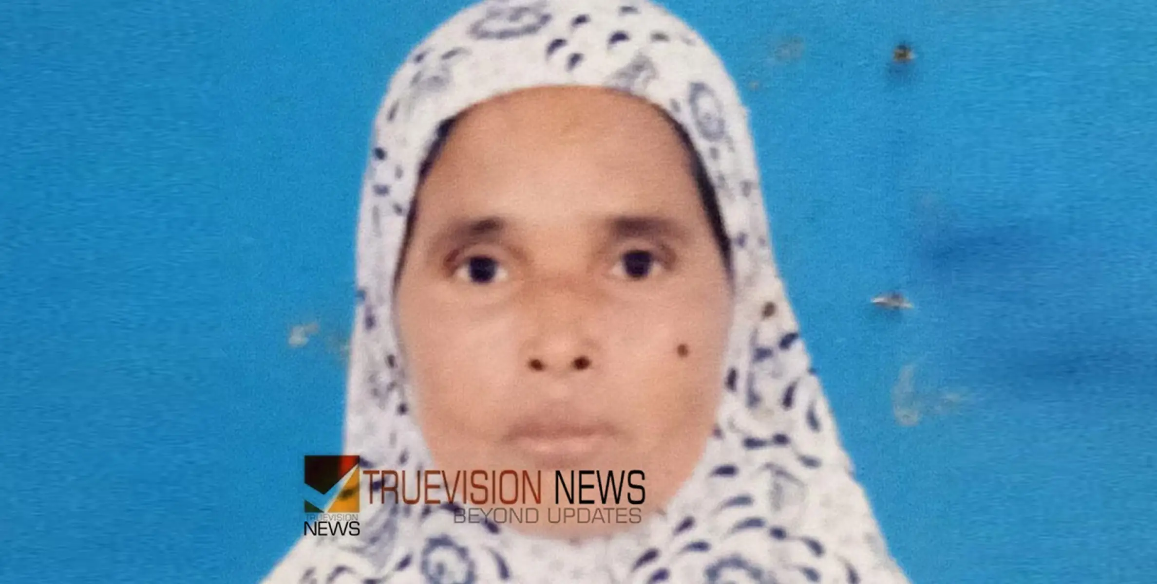പാലക്കാട് കുളത്തിൽ വീണ ചെറുമകളെ രക്ഷിക്കാൻ ശ്രമിക്കുന്നതിനിടെ അപകടം; മുത്തശ്ശി മുങ്ങിമരിച്ചു