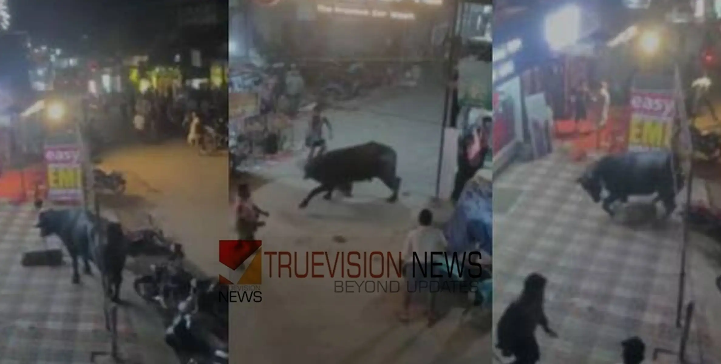 പെരുന്നാളിന് അറുക്കാനായി എത്തിച്ച പോത്ത് വിരണ്ടോടി, പിടികൂടിയത് വാട്ടർ ടാങ്കിൽ വീണതോടെ