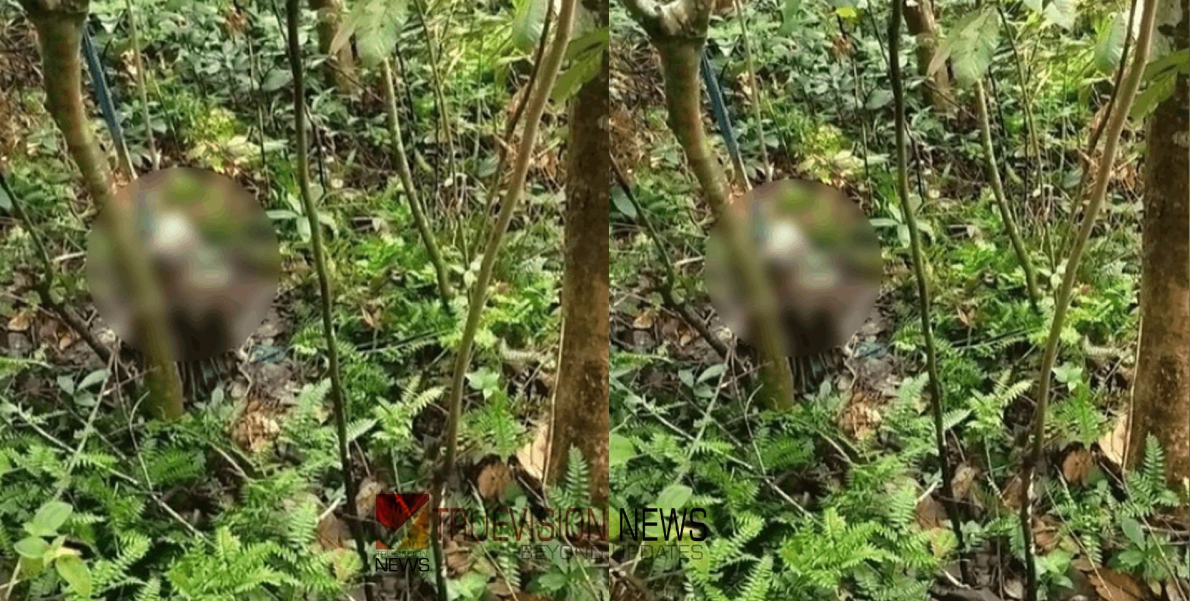 പത്തനംതിട്ടയിൽ അജ്ഞാതനെ മരിച്ച നിലയിൽ കണ്ടെത്തി; മൃതദേഹത്തിന് രണ്ടാഴ്ചത്തെ പഴക്കം