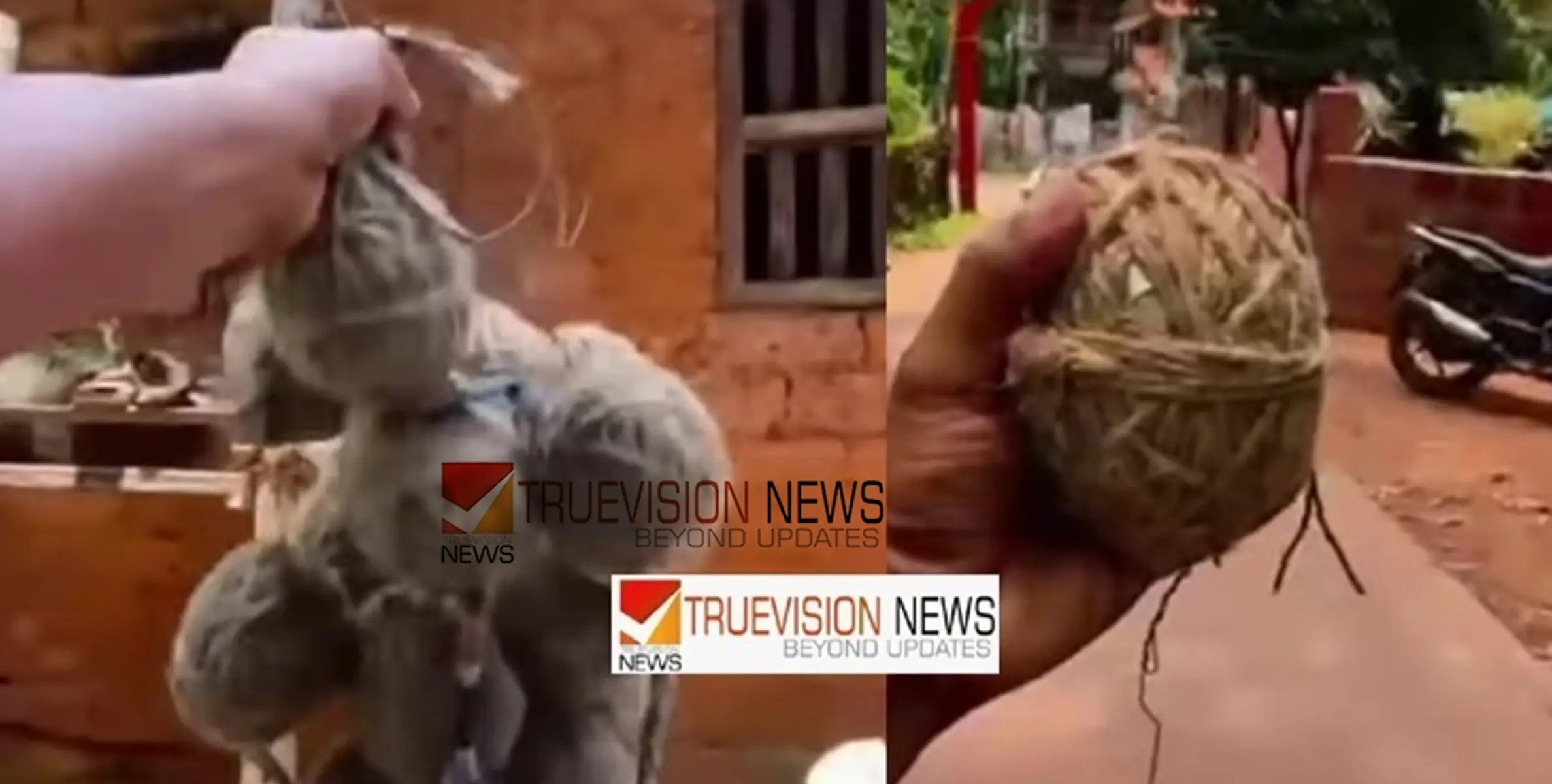 പാനൂരിനടുത്ത് പൊയിലൂരിൽ സ്ഫോടകവസ്തു കൈയ്യിലെടുത്ത് റീൽസ്; കേസെടുക്കാൻ പൊലീസ്