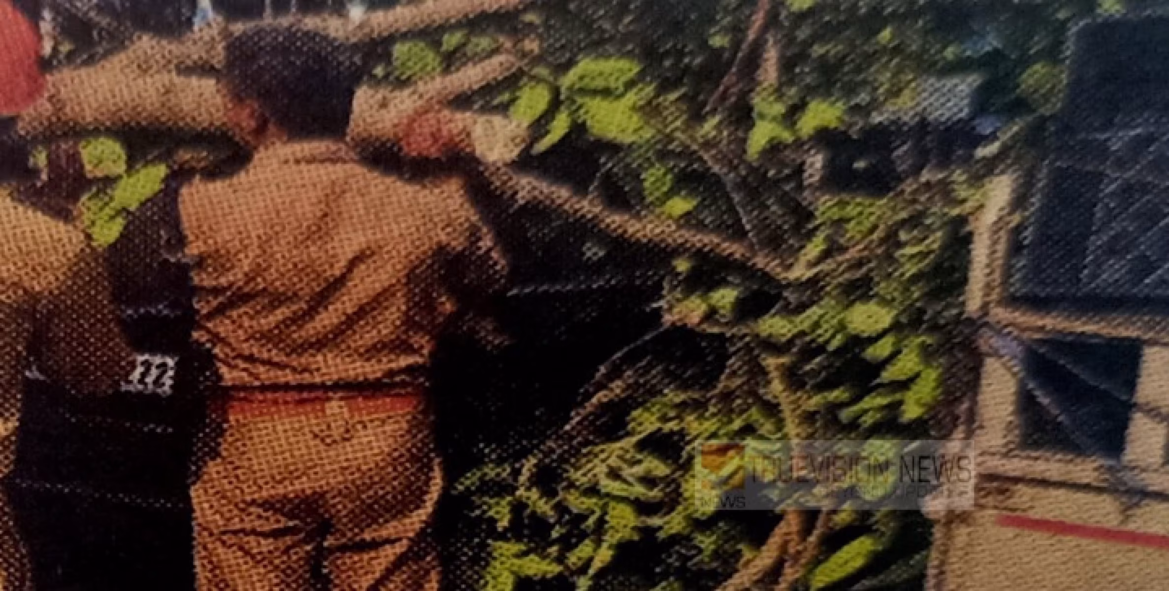 കൂത്ത്പറമ്പിൽ തണൽമരം വീണ് കാർ പൂർണമായും തകർന്നു ; തലശേരിയിലെ വ്യാപാരി സംഘടനാ  നേതാവും കുടുംബവും രക്ഷപ്പെട്ടത് തലനാരിഴക്ക്