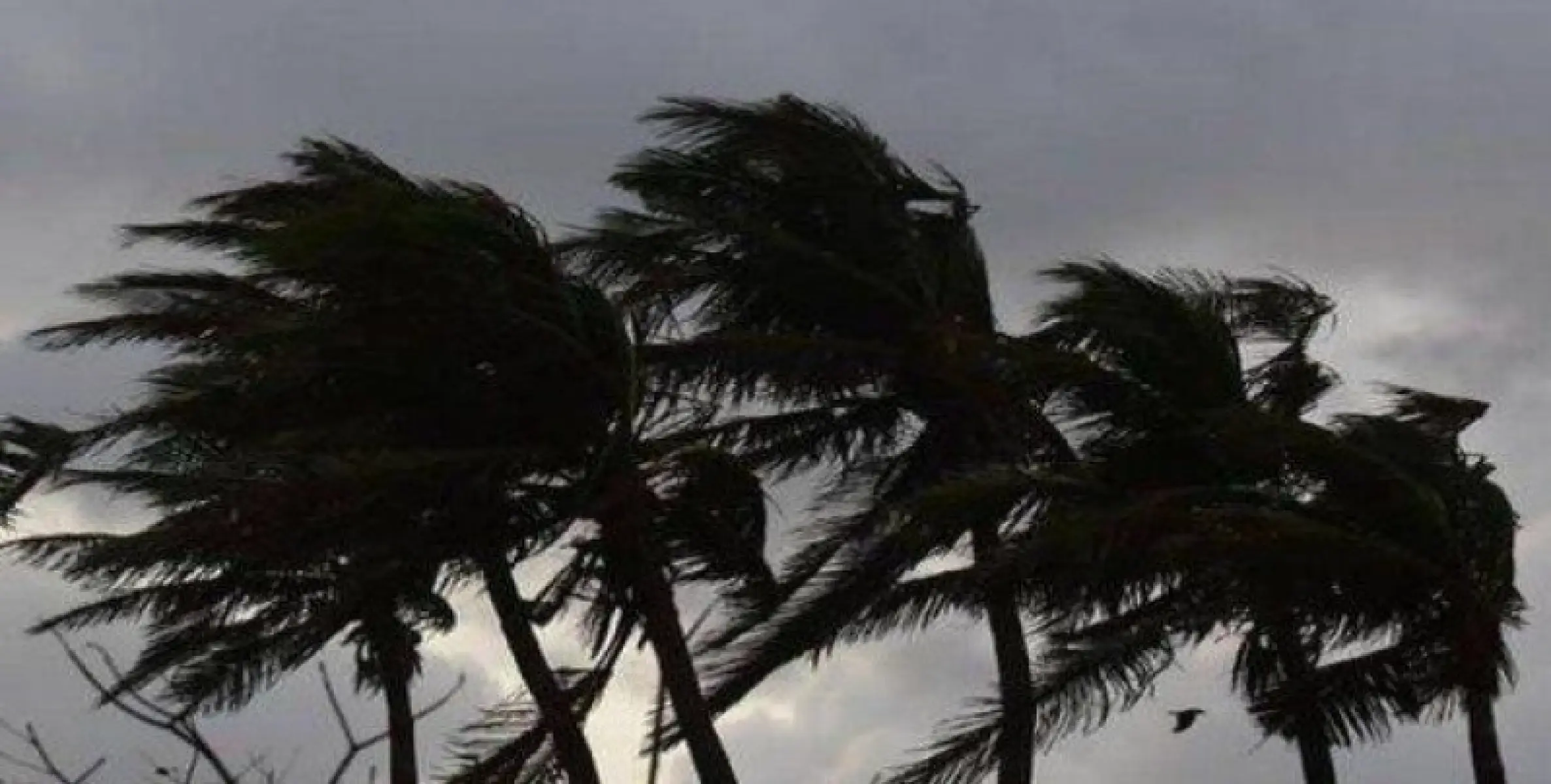 കേരളത്തിൽ ഇന്ന് ഇടിമിന്നലോട് കൂടിയ ശക്തമായ മഴക്ക് സാധ്യത