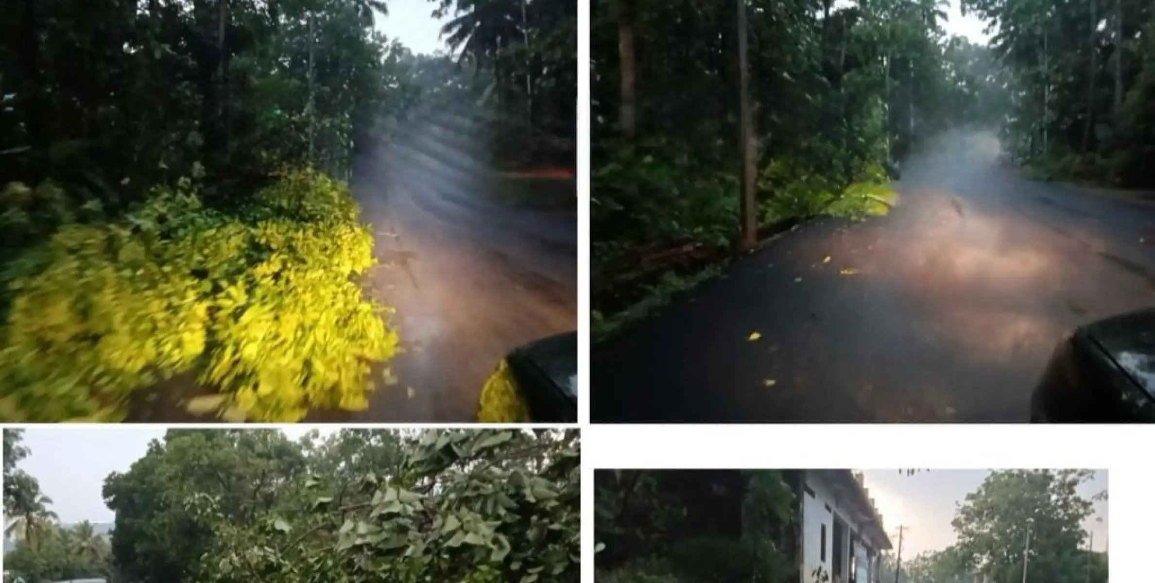കരിക്കോട്ടക്കരി പ്രദേശത്ത് കാറ്റും മഴയും വ്യാപക നാശനഷ്ടം 