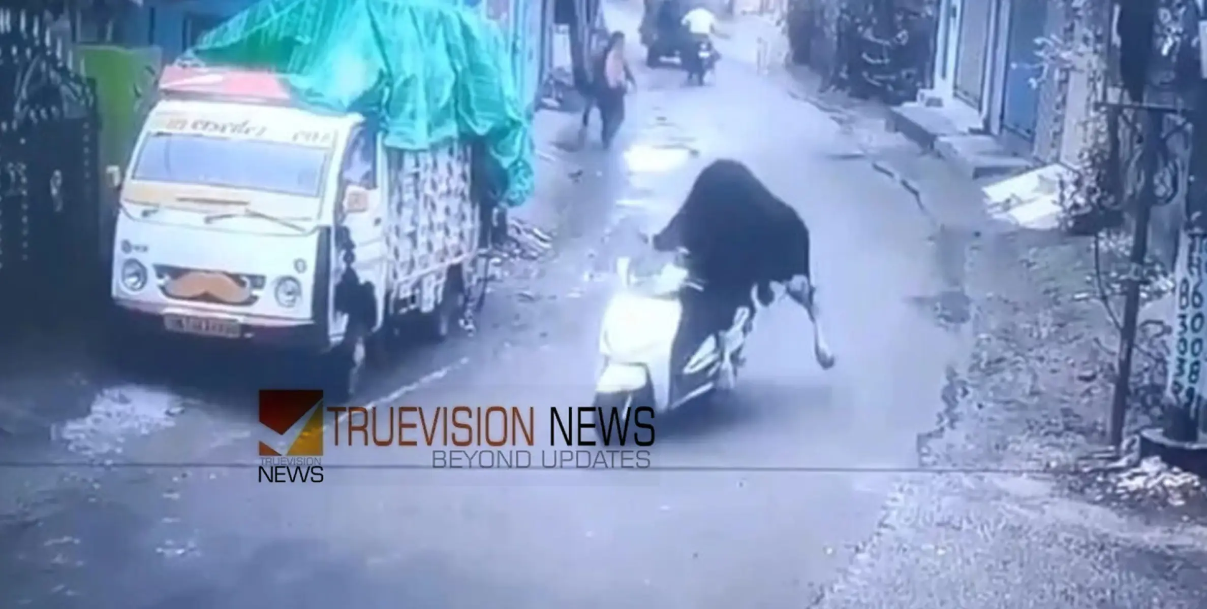  എനിക്കും സാധിക്കും, നിങ്ങൾക്ക് മാത്രമല്ല ....;  'സ്കൂട്ടർ മോഷ്ടിച്ച്' കാള; വീഡിയോ വൈറലാകുന്നു