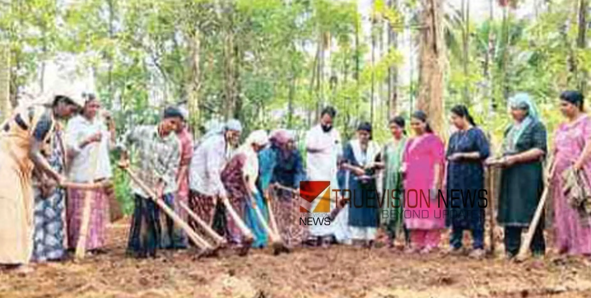 വിത്ത് വിതച്ചു; കായക്കൊടി പഞ്ചായത്തിൽ തരിശ് ഭൂമിയിൽ കരനെല്‍ കൃഷിക്ക് തുടക്കം 