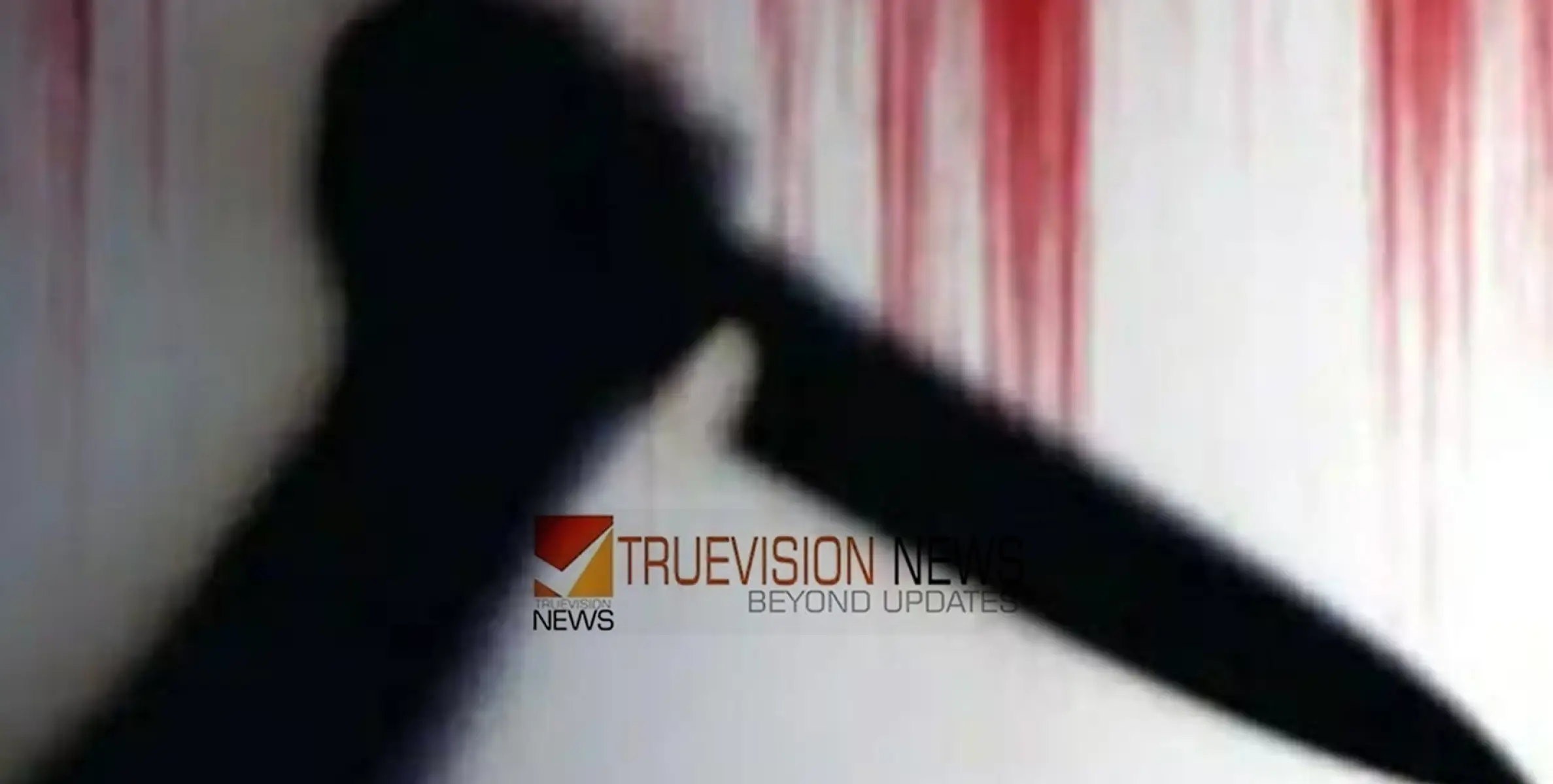 വിവാഹ സൽക്കാരത്തിനിടെ വാക്കുതർക്കം;  യുവാവിന് കുത്തേറ്റു, പ്രതി രക്ഷപ്പെട്ടു