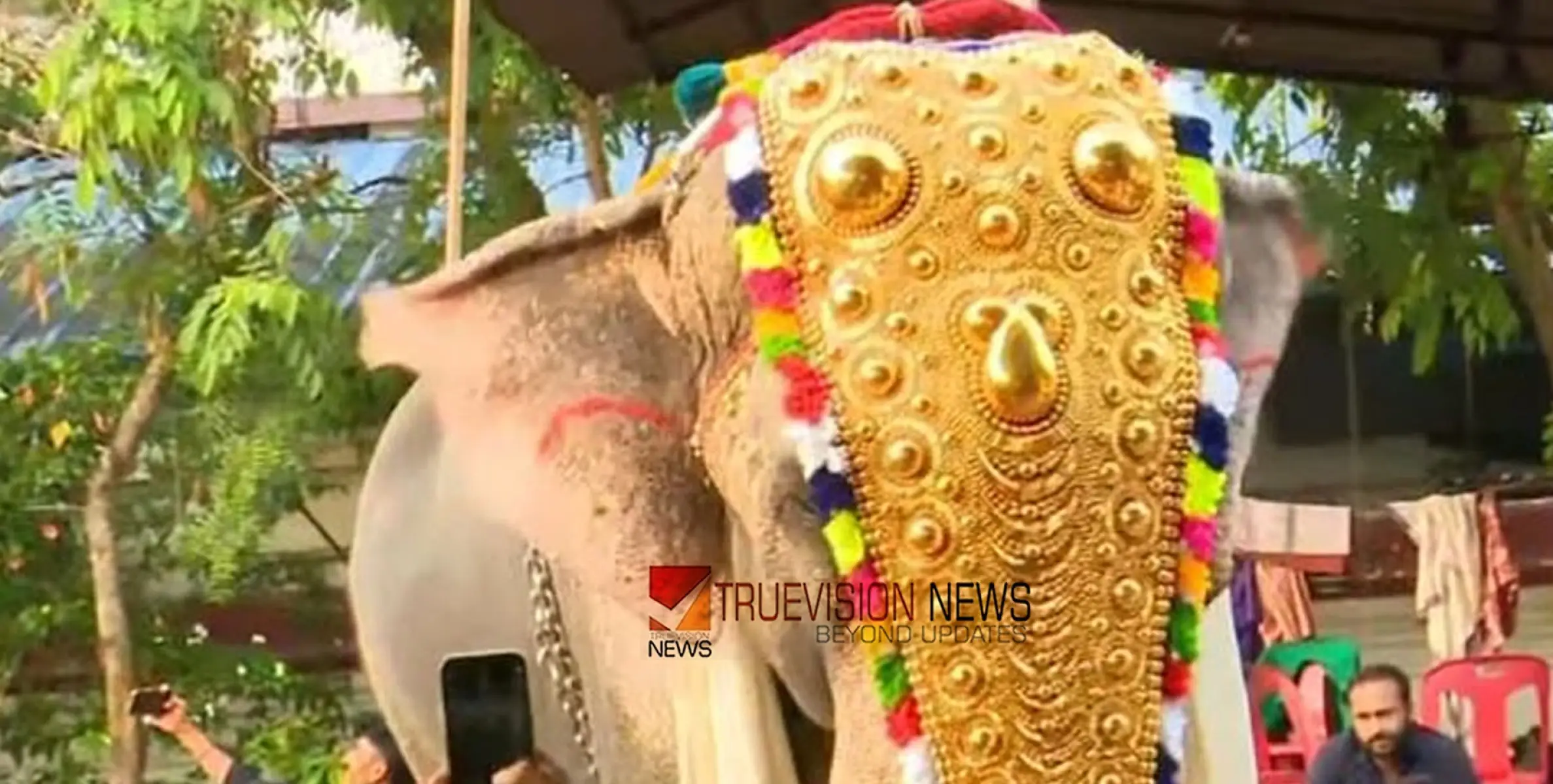 പൂരലഹരിയില്‍ തൃശൂര്‍, കണിമംഗലം ശാസ്താവിന്റെ എഴുന്നള്ളത്തിന് തുടക്കമായി;  ചെമ്പൂക്കാവ് ഭഗവതിയുടെ തിടമ്പേറ്റാന്‍ രാമൻ 
