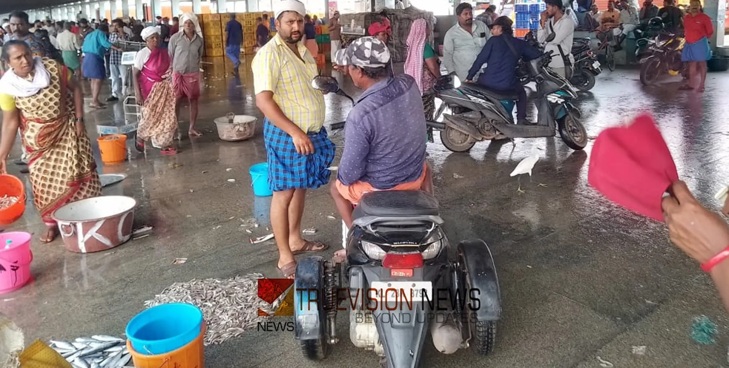  നീണ്ടകര - ശക്തികുളങ്ങര കേന്ദ്രീകരിച്ച് മത്സ്യ വേട്ട ശക്തമാകുന്നു; പിന്നിൽ വൻകിട മത്സ്യ ബന്ധന മാഫിയകൾ