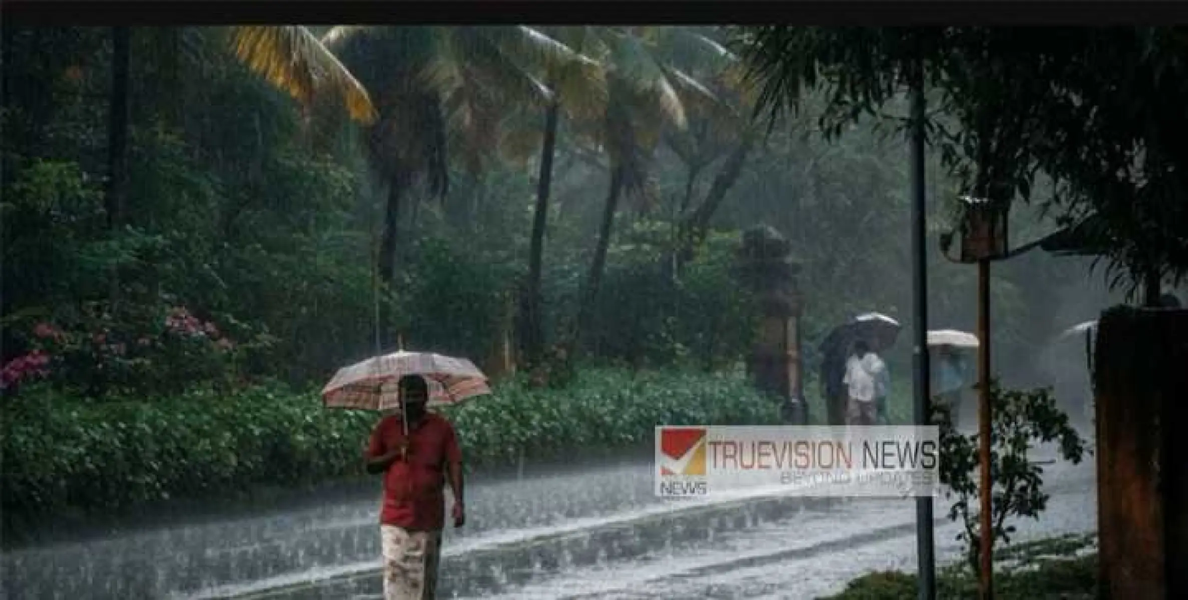വരുന്നൂ കേരളത്തിൽ ഇന്ന് മുതൽ പരപരാ മഴ ;   നാല് ജില്ലകളിൽ യെല്ലോ അലർട്ട്