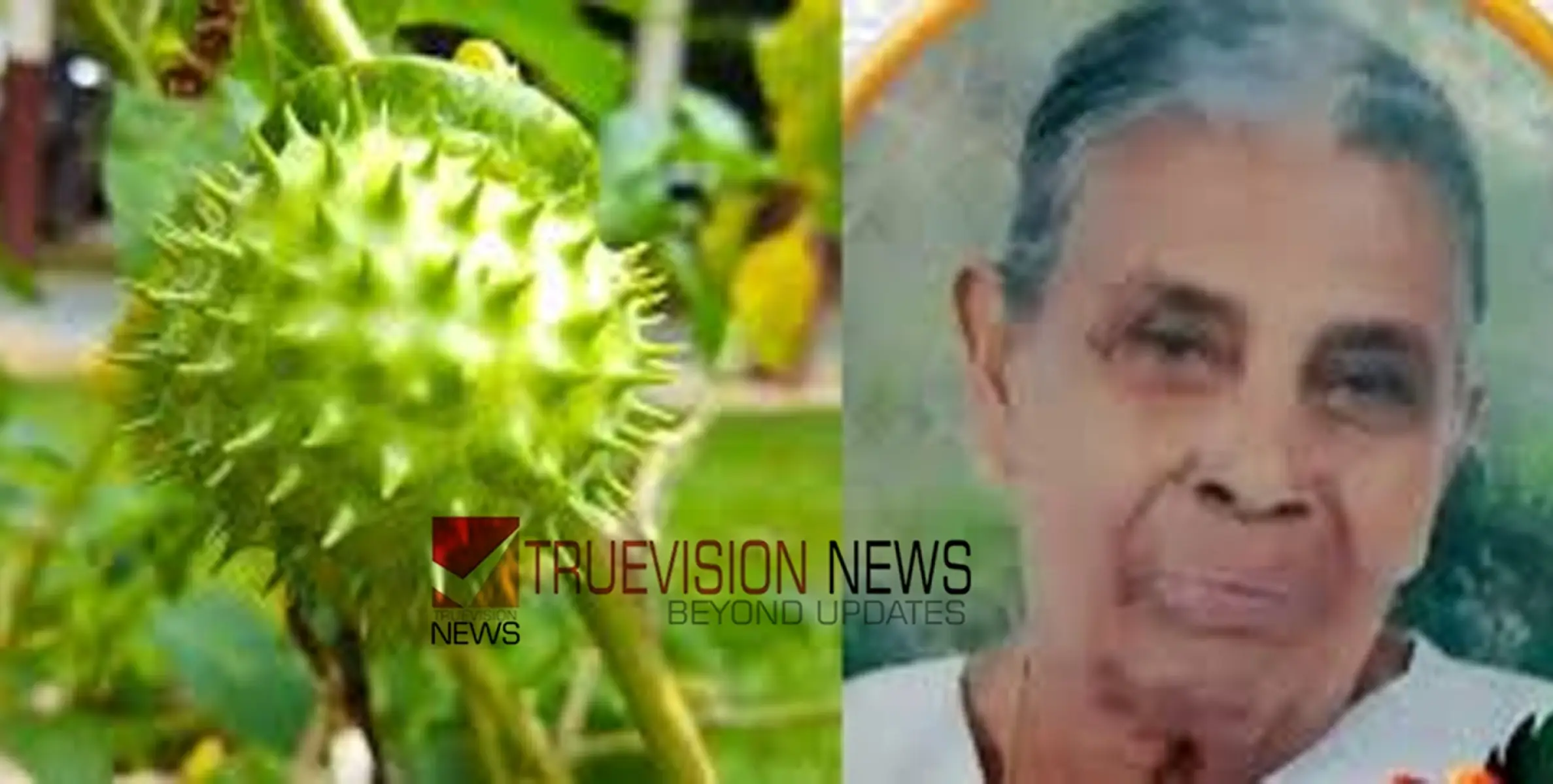  ഉമ്മത്തിൻ കായ കഴിച്ച് വയോധിക മരിച്ചു