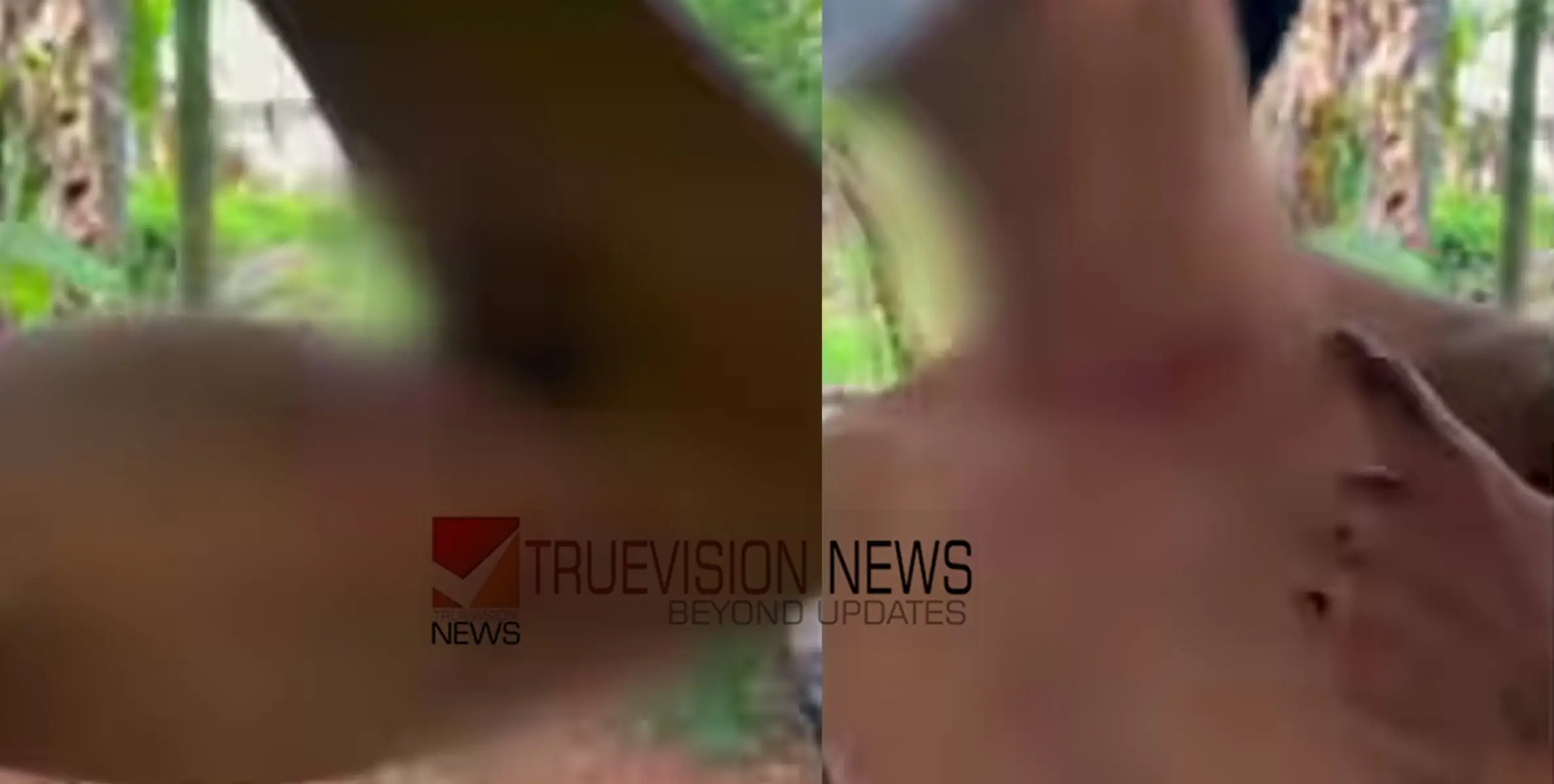 ദീർഘദൂരയാത്രക്കിടെ മൂത്രമൊഴിക്കാൻ ബസ് നിർത്താനാവശ്യപ്പെട്ടു; യുവാവിനെ ക്രൂരമായി മർദ്ദിച്ച ടൂറിസ്റ്റ് ബസ് ക്ലീനർ അറസ്റ്റിൽ