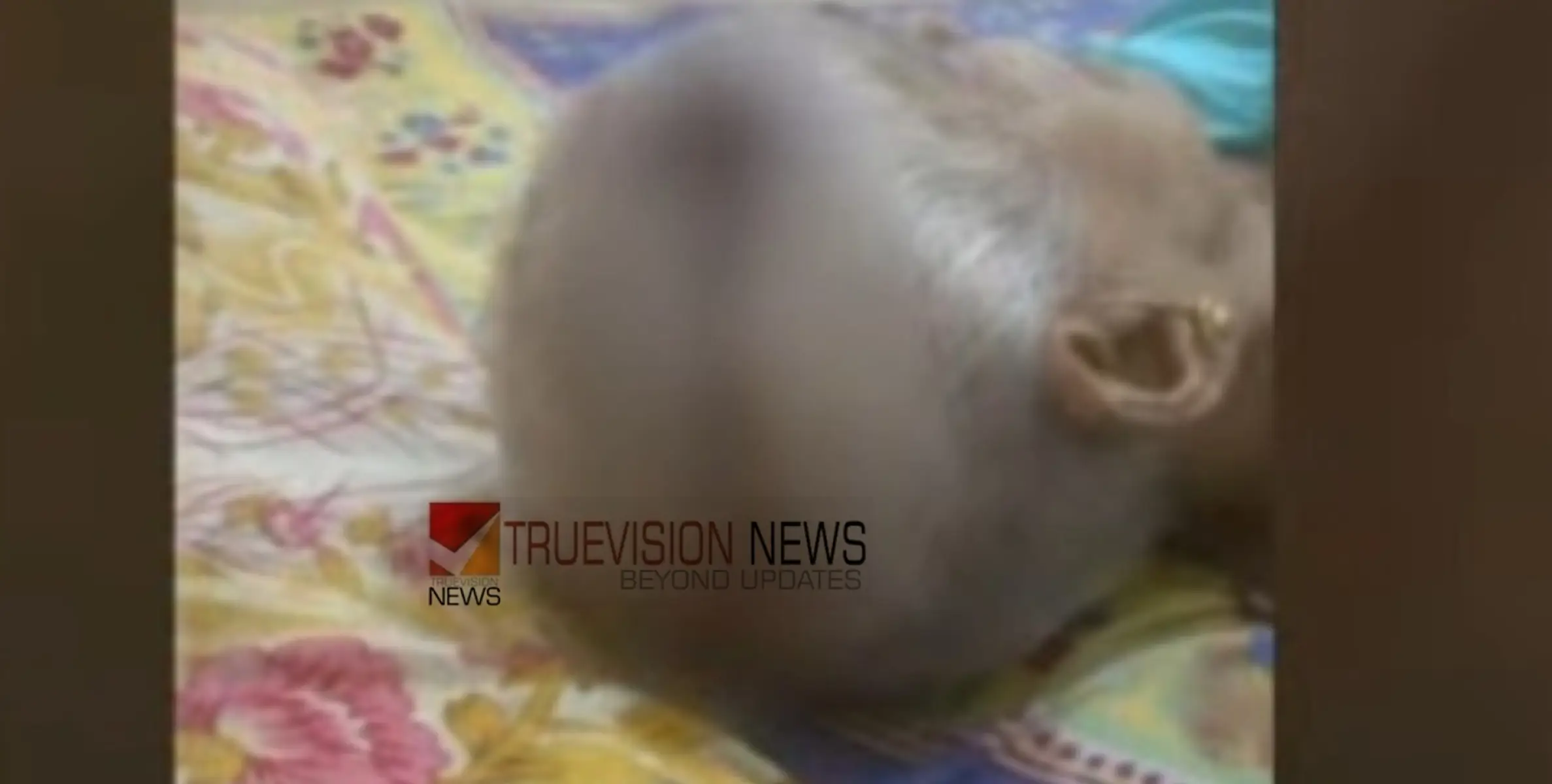 'ഒപ്പം താമസിക്കുന്നതിലെ വിരോധം'; കണ്ണൂര്‍ പയ്യന്നൂരില്‍ മുത്തശ്ശിയോട് പേരക്കുട്ടിയുടെ കൊടുംക്രൂരത, തലയ്ക്ക് ക്ഷതം 