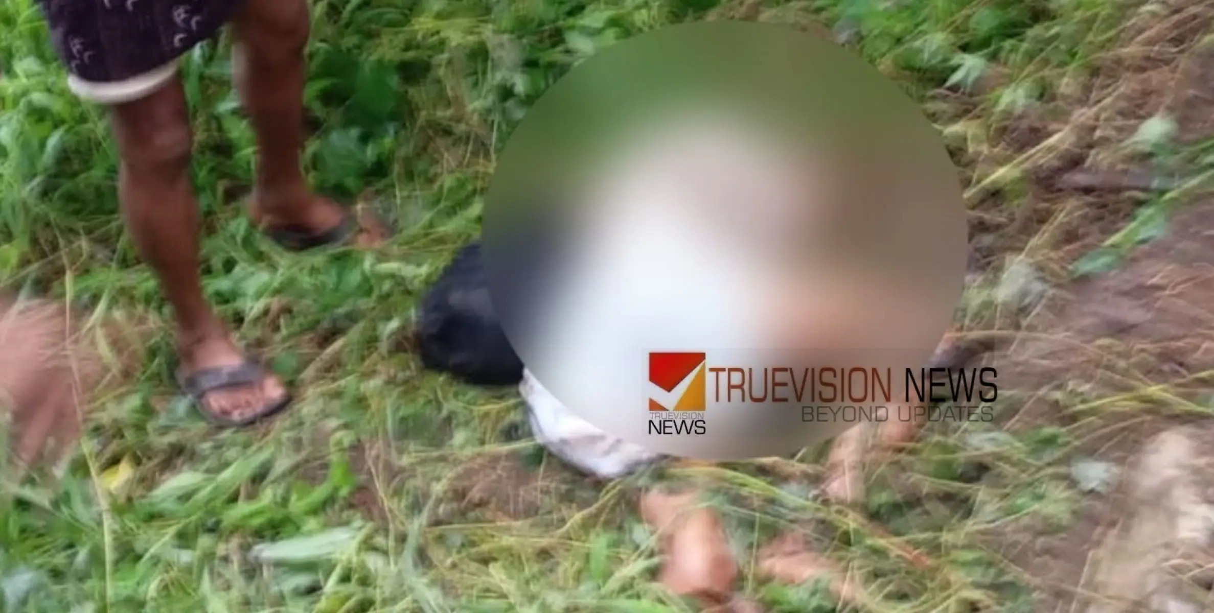 പാലക്കാട് കാട്ടാന ആക്രമണത്തിൽ കൊല്ലപ്പെട്ട ഉമ്മ‍‍റിന്റെ പോസ്റ്റ്‌മോര്‍ട്ടം ഇന്ന്