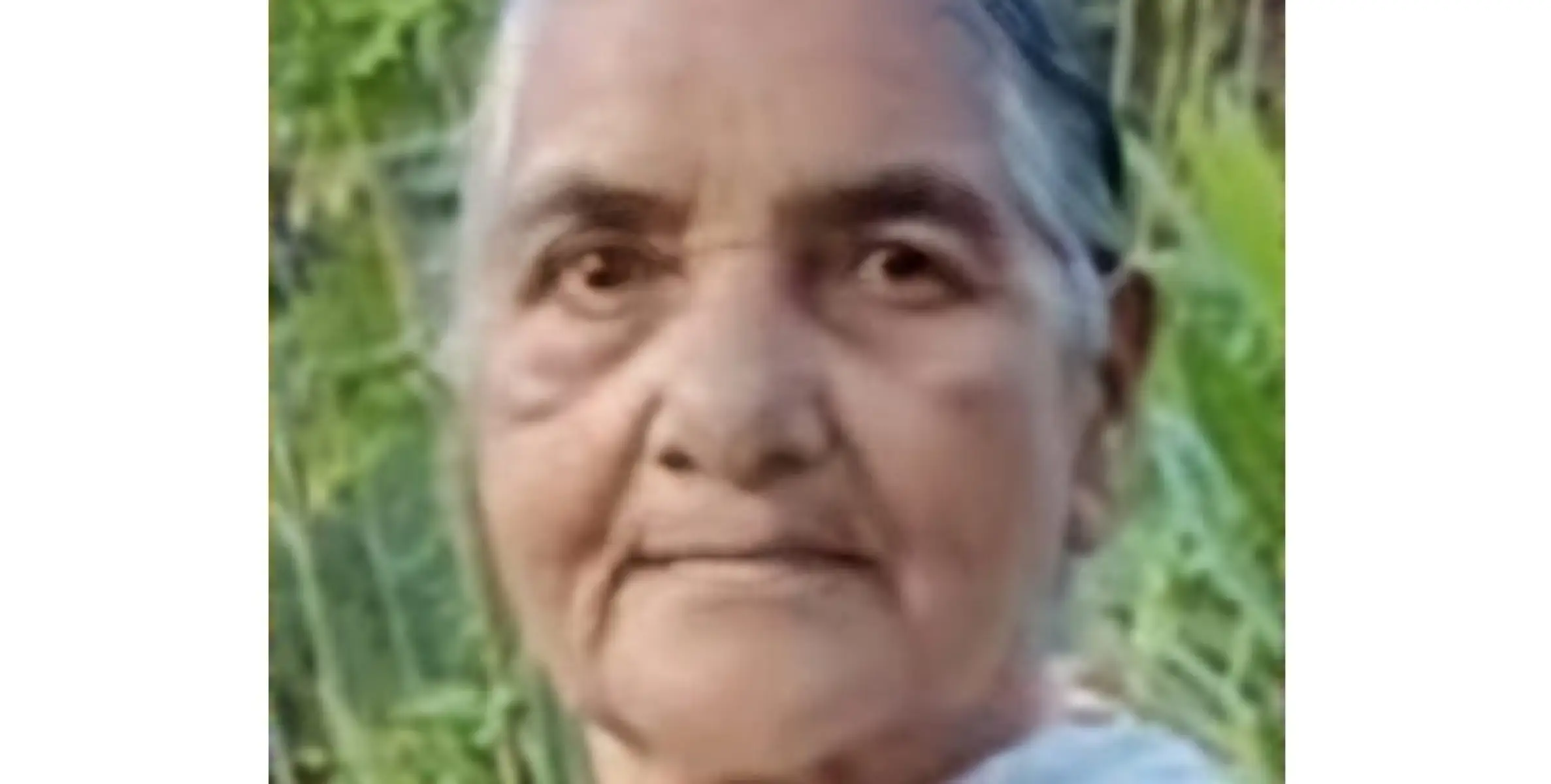 വാൽപ്പാറയിൽ  കാട്ടാന ആക്രമണം:  സ്ത്രീ കൊല്ലപ്പെട്ടു.
