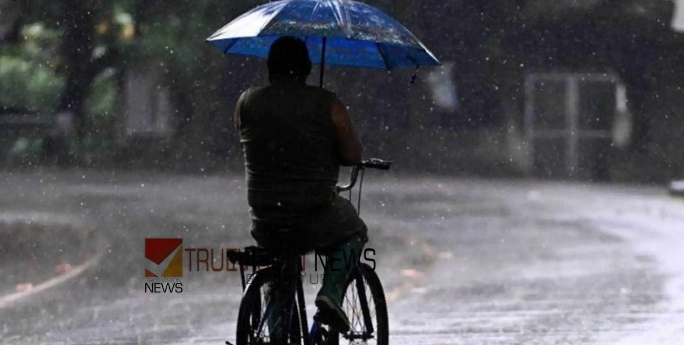 തലസ്ഥാനത്തും മ‍ഴ കനക്കുന്നു:  പ്രസ്സ് ക്ലബിന് മുന്നിൽ മരം കടപുഴകി; അരുവിക്കര ഡാമിന്‍റെ ഷട്ടറുകൾ തുറന്നു