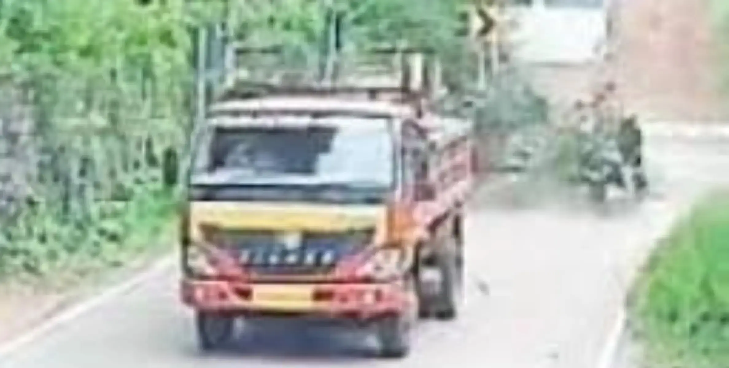 കനത്ത മഴയിൽ തെങ്ങ് പൊട്ടിവീണ് യുവാവിന് പരിക്ക് 