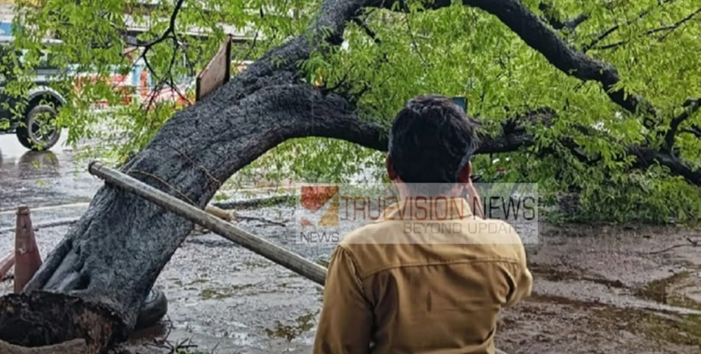 കനത്ത മഴ; തലശ്ശേരിയിൽ മരം കടപുഴകി വീണു; ആറ് ഇരുചക്രവാഹനങ്ങൾ തകർന്നു