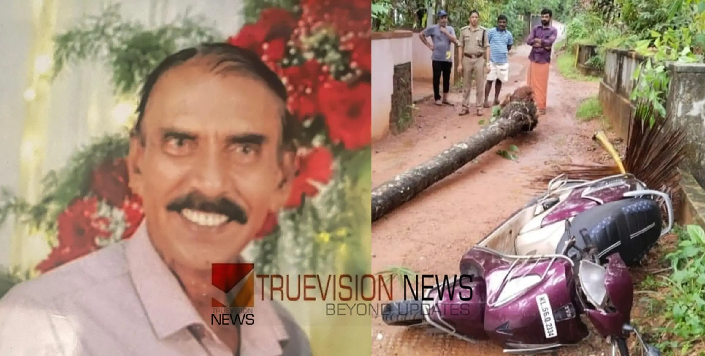 വില്യാപ്പള്ളിയിൽ സ്‌കൂട്ടറിനു മീതെ തെങ്ങ് വീണ് യാത്രക്കാരന് ദാരുണാന്ത്യം 