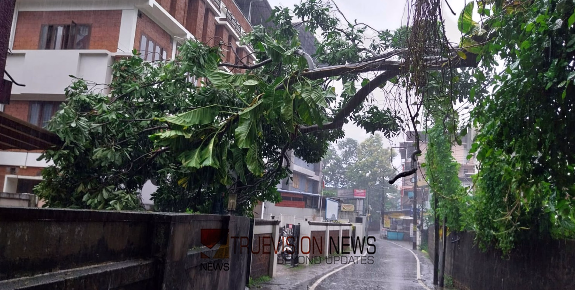 ക​ന​ത്ത ജാ​ഗ്ര​ത; കാ​ല​വ​ർ​ഷ​ക്കെ​ടു​തി​യി​ൽ മ​ര​ണം അഞ്ചായി, കോഴിക്കോട് ജി​ല്ല​യി​ൽ വ​ൻ കൃ​ഷി നാ​ശം