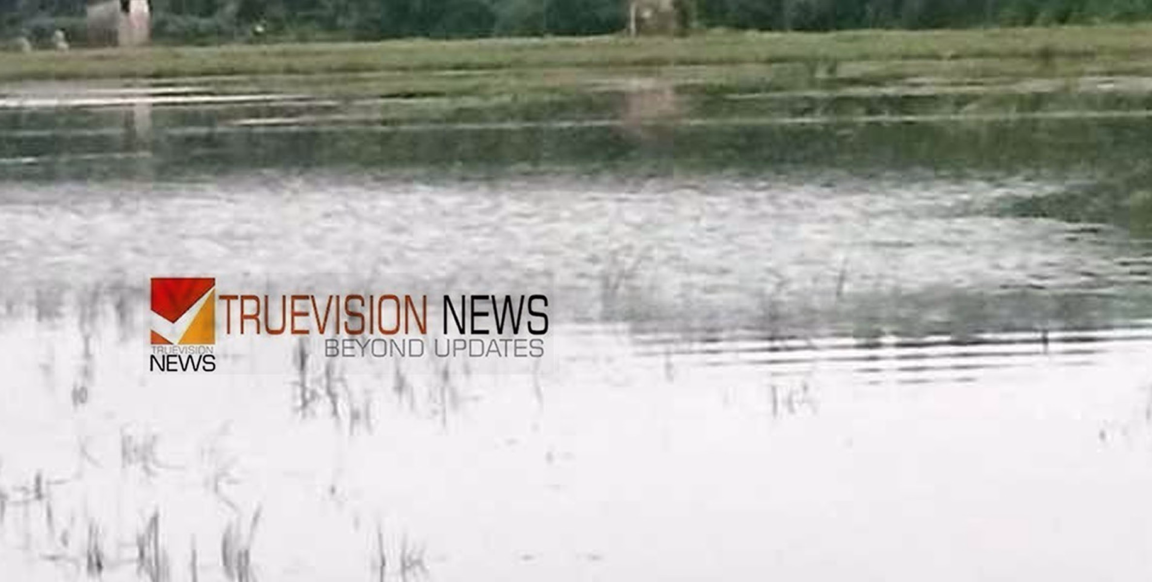 കർഷകർ ദുരിതത്തിൽ; കനത്ത മഴയിൽ ചെരണ്ടത്തൂർ ചിറയിലെ പുഞ്ചക്കൃഷി വെള്ളത്തില്‍ മുങ്ങി 